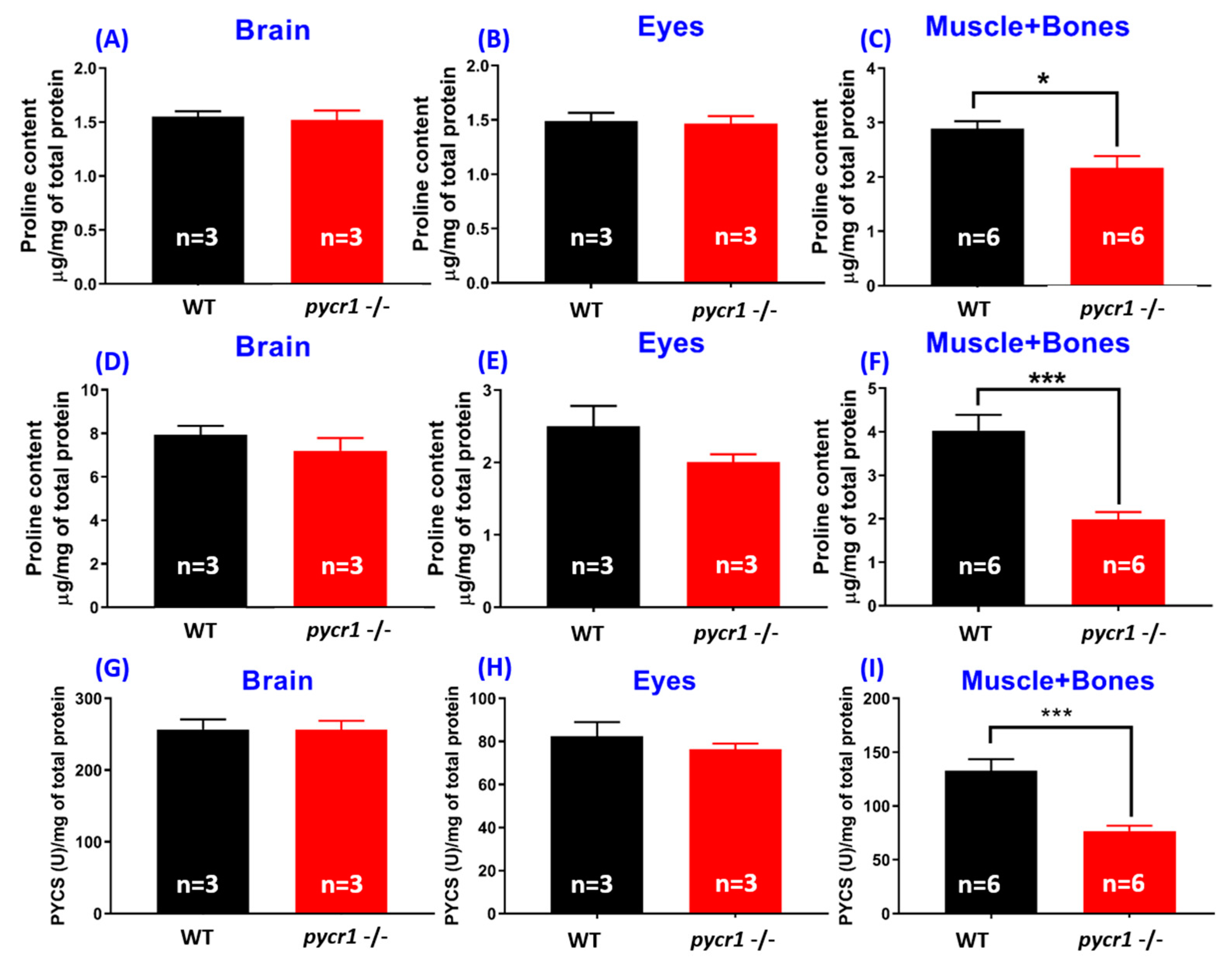 Cells 08 00453 g0a3 Cells 08 00453 g0a3