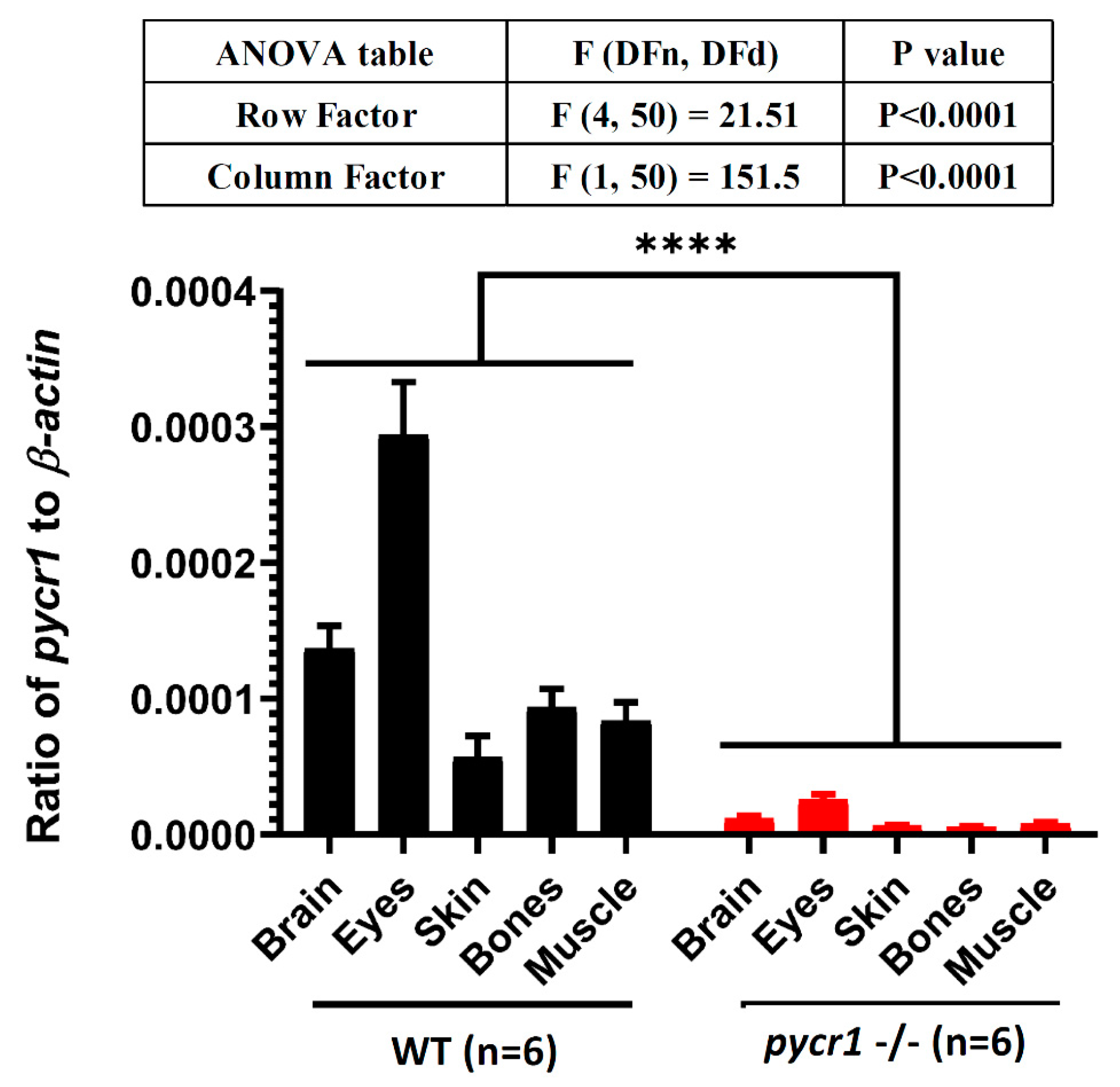 Cells 08 00453 g0a4 Cells 08 00453 g0a4
