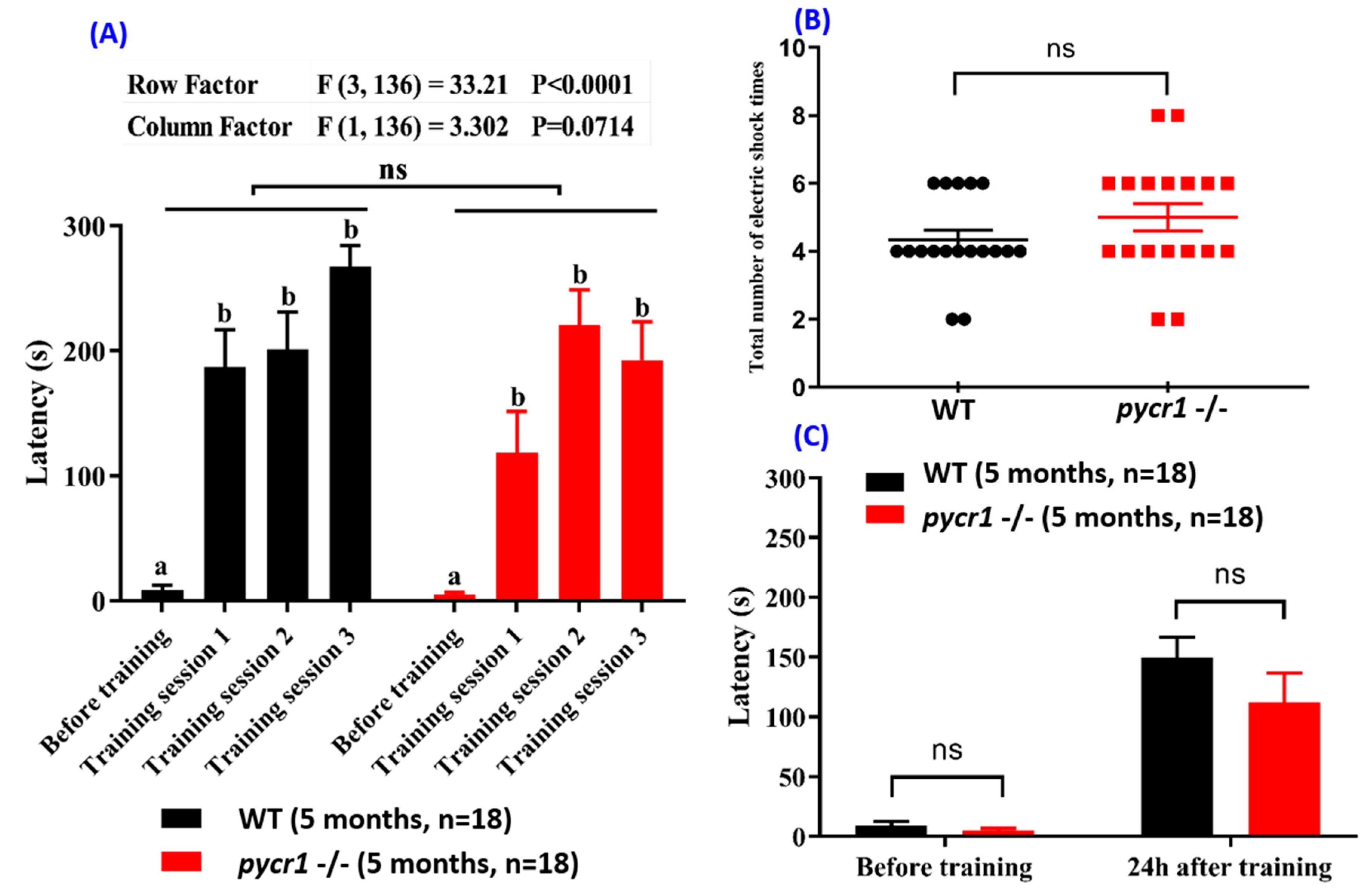 Cells 08 00453 g0a5 Cells 08 00453 g0a5
