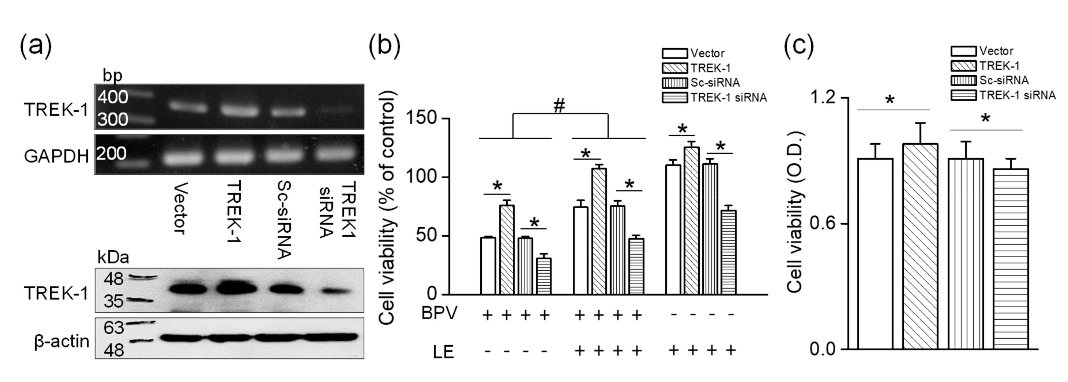 Cells 08 00454 g003 550