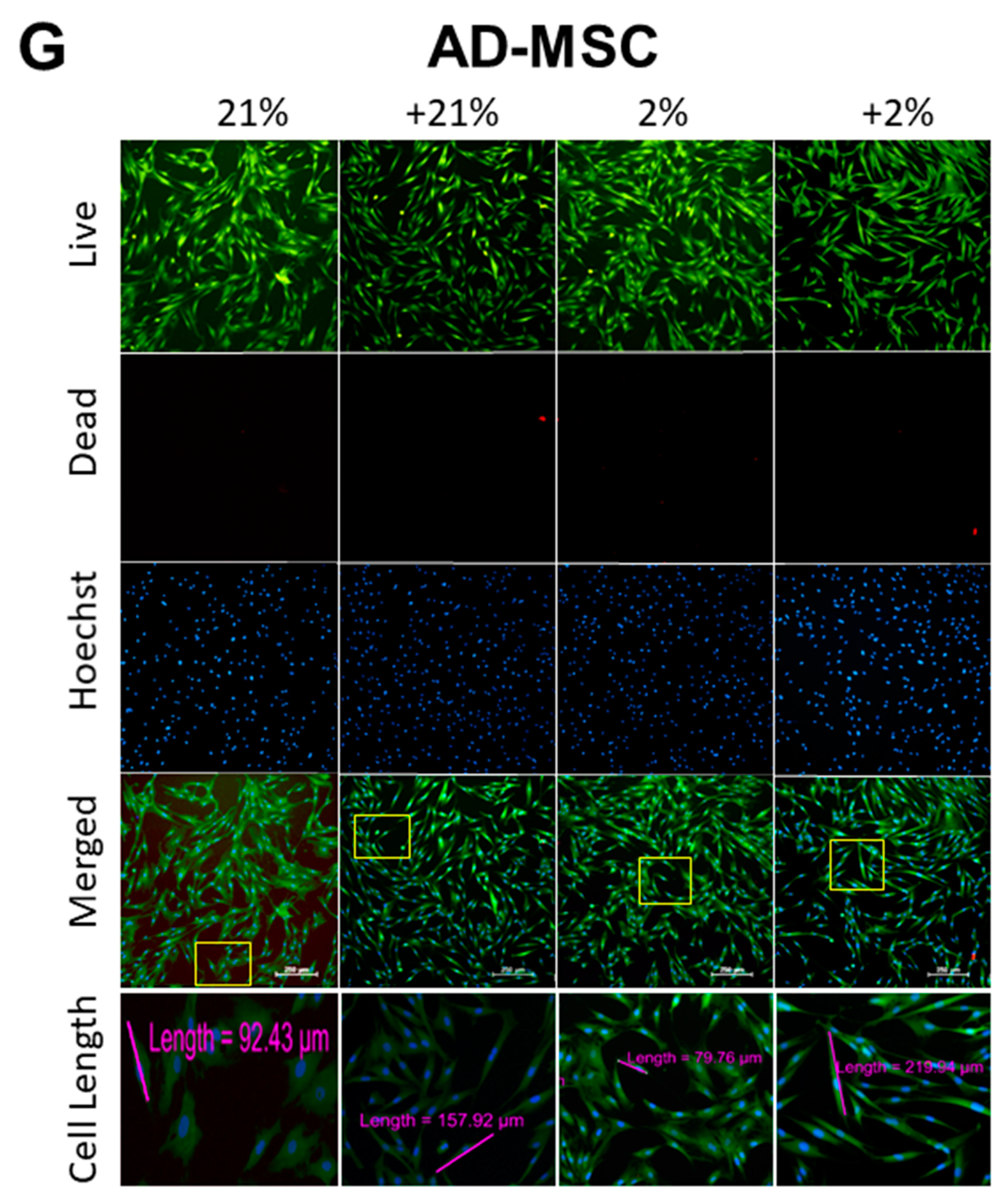 Cells 08 00462 g002d 550