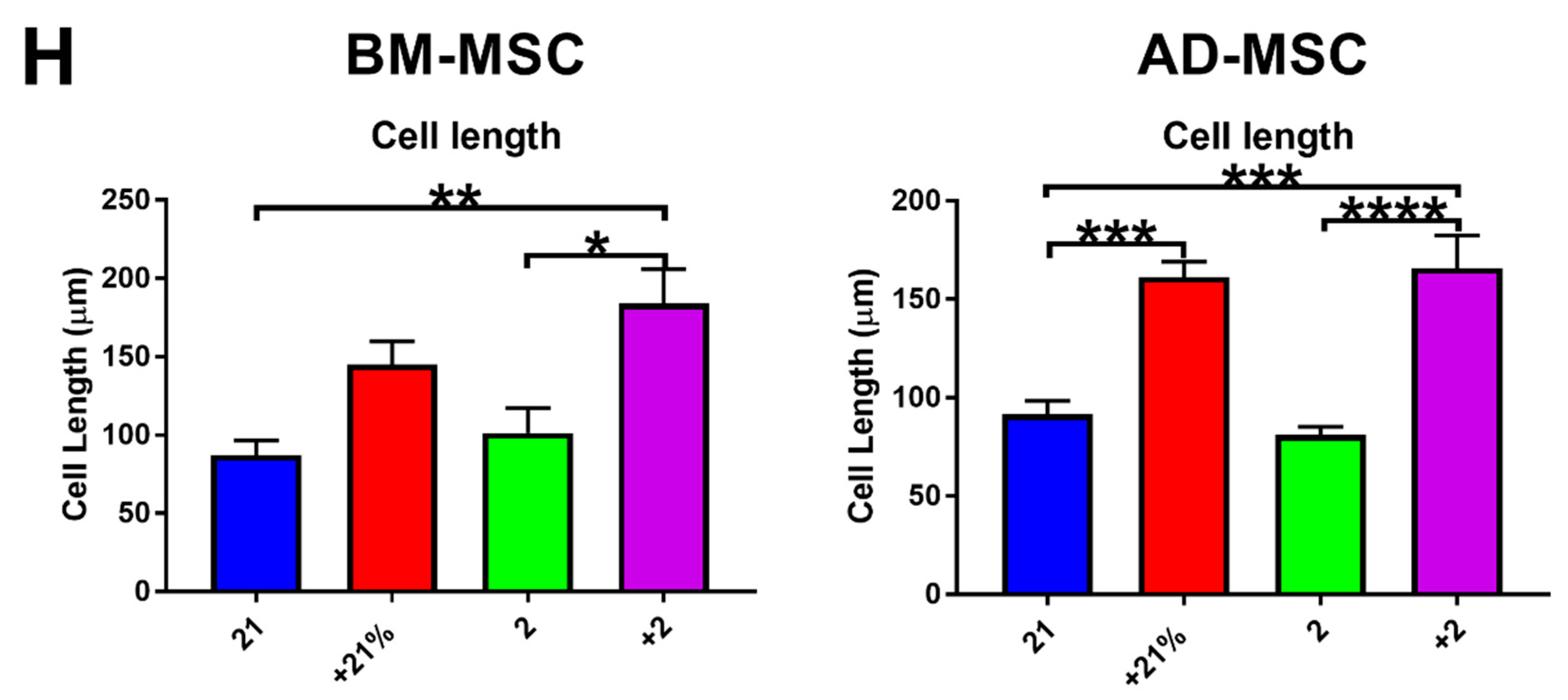 Cells 08 00462 g002e 550