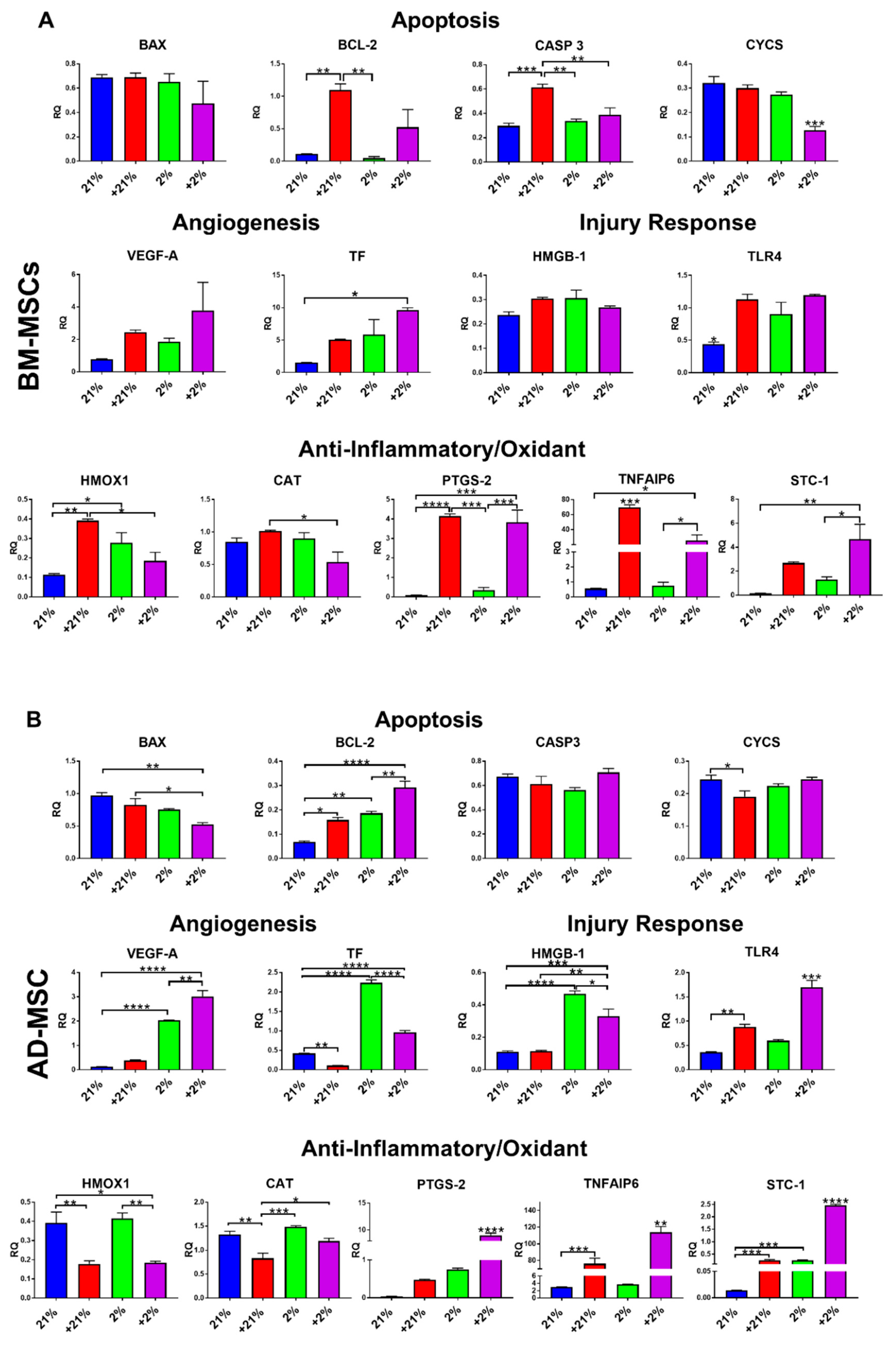Cells 08 00462 g003 550