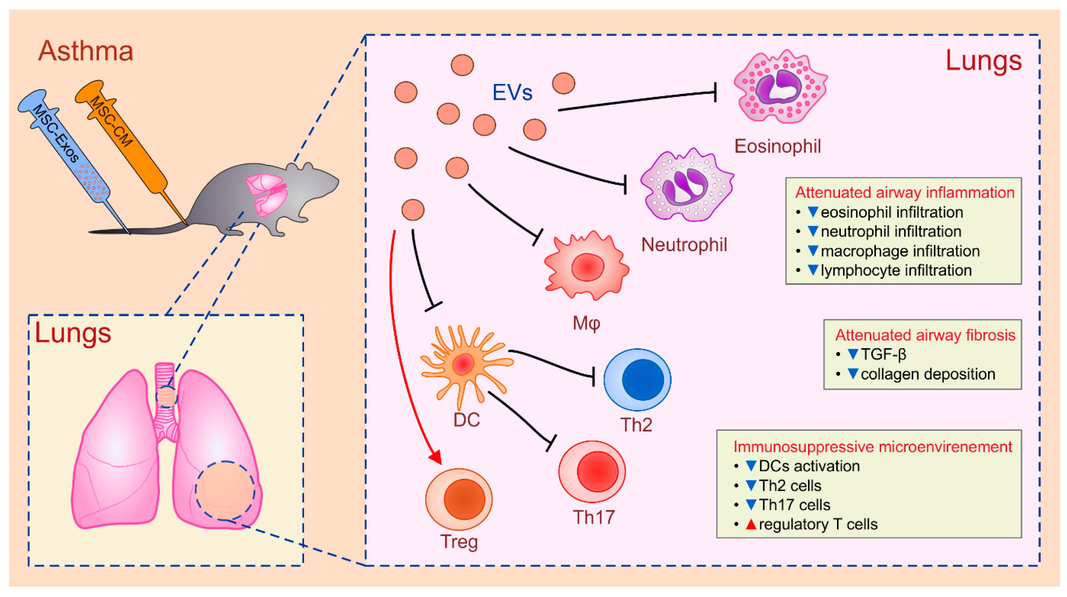 Exploring the Prospective Role of Propolis in Modifying