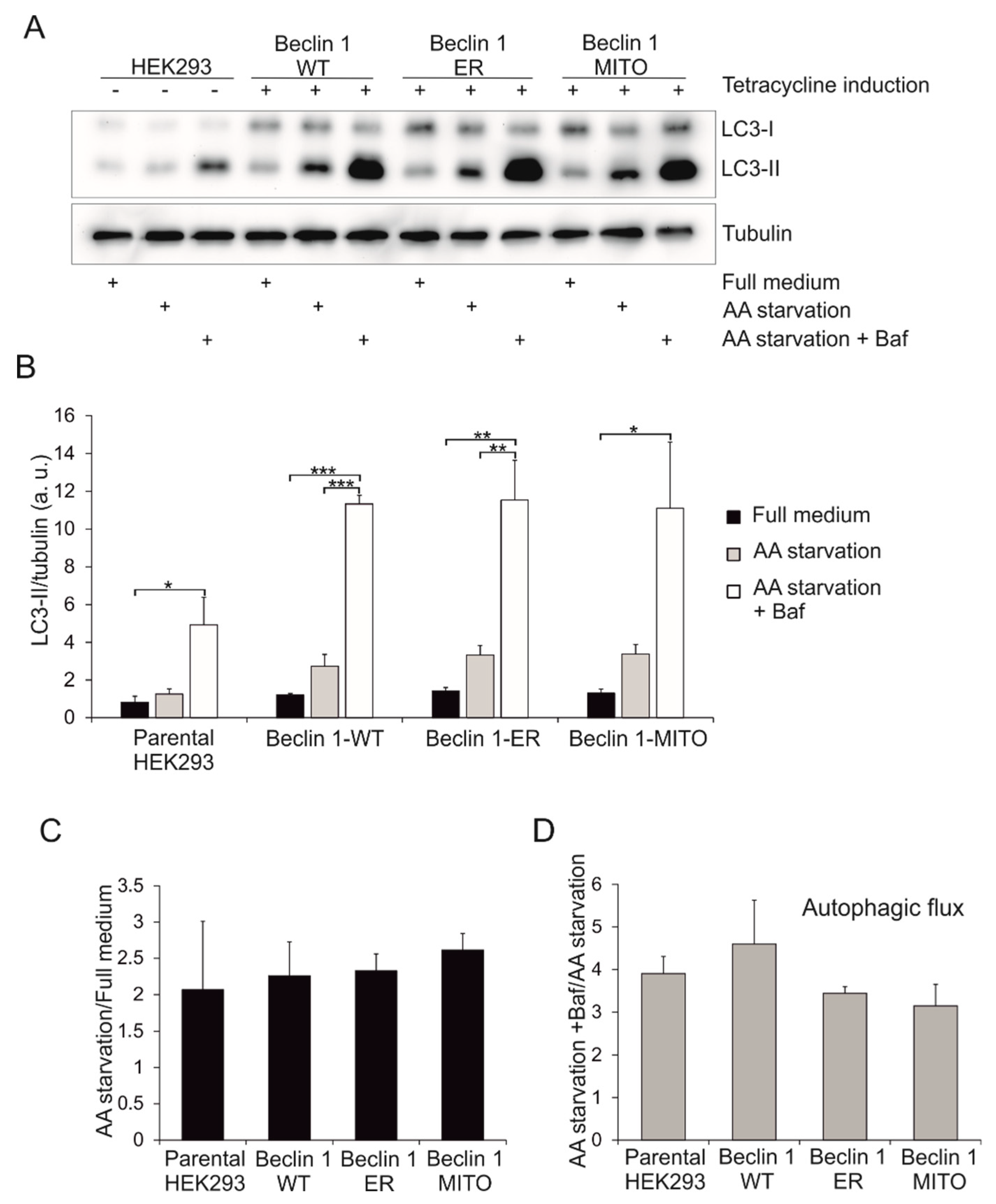 Cells 08 00475 g005 550