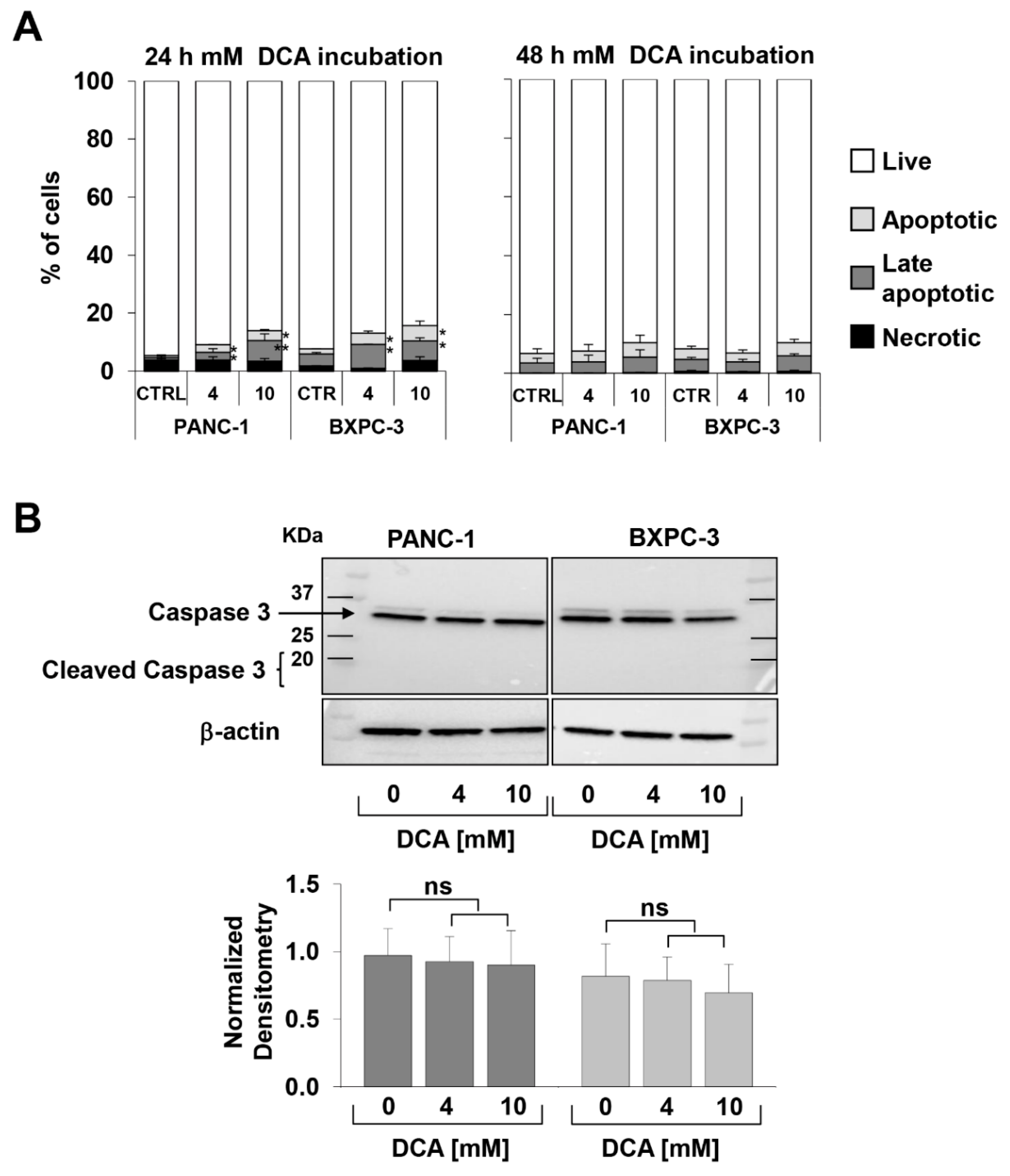 Cells 08 00478 g002 Cells 08 00478 g002