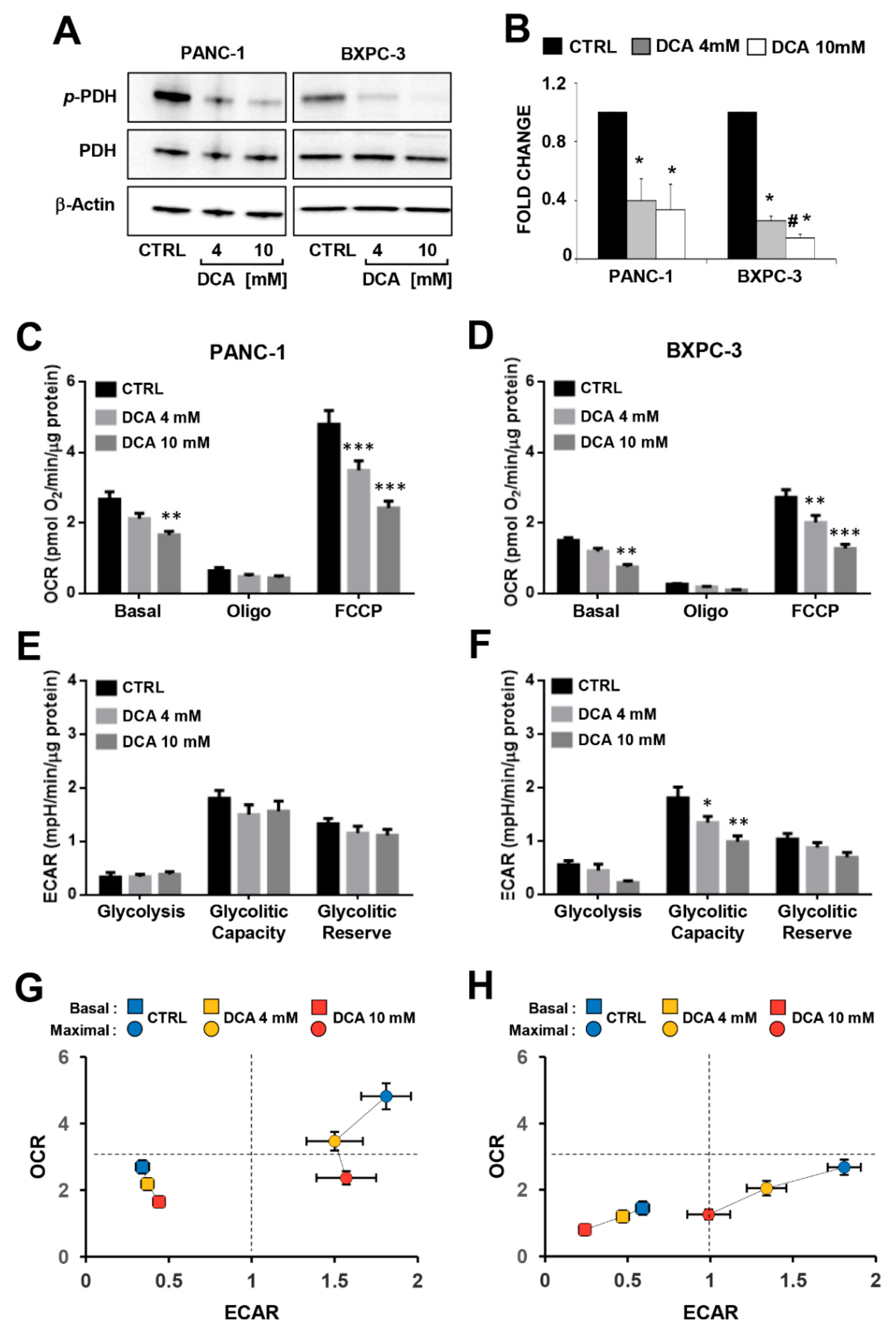 Cells 08 00478 g003 Cells 08 00478 g003