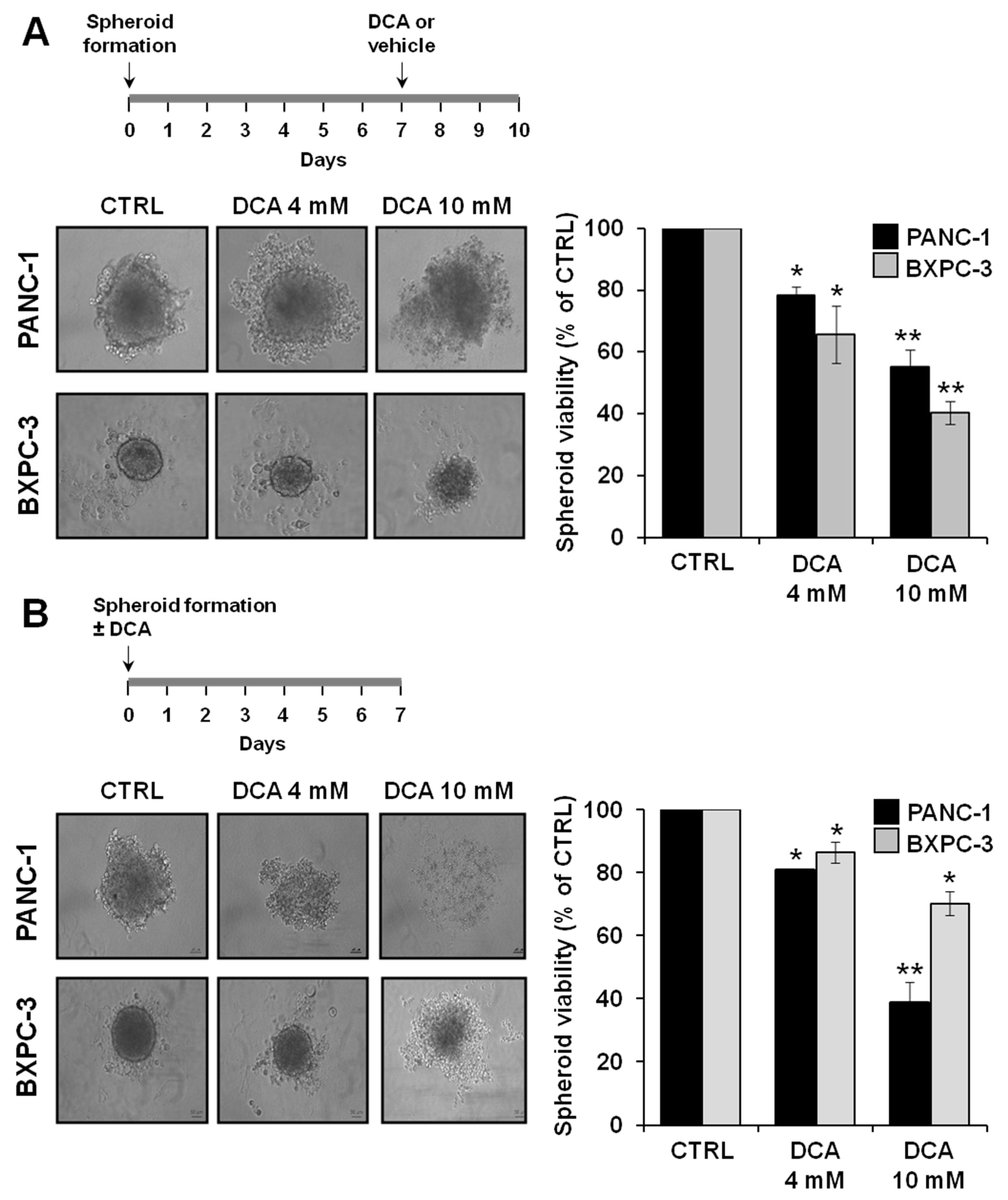 Cells 08 00478 g008 Cells 08 00478 g008