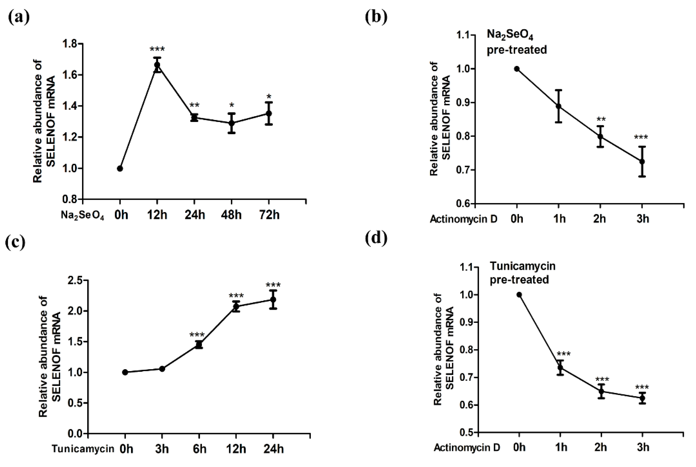 Cells 08 00479 g001 Cells 08 00479 g001