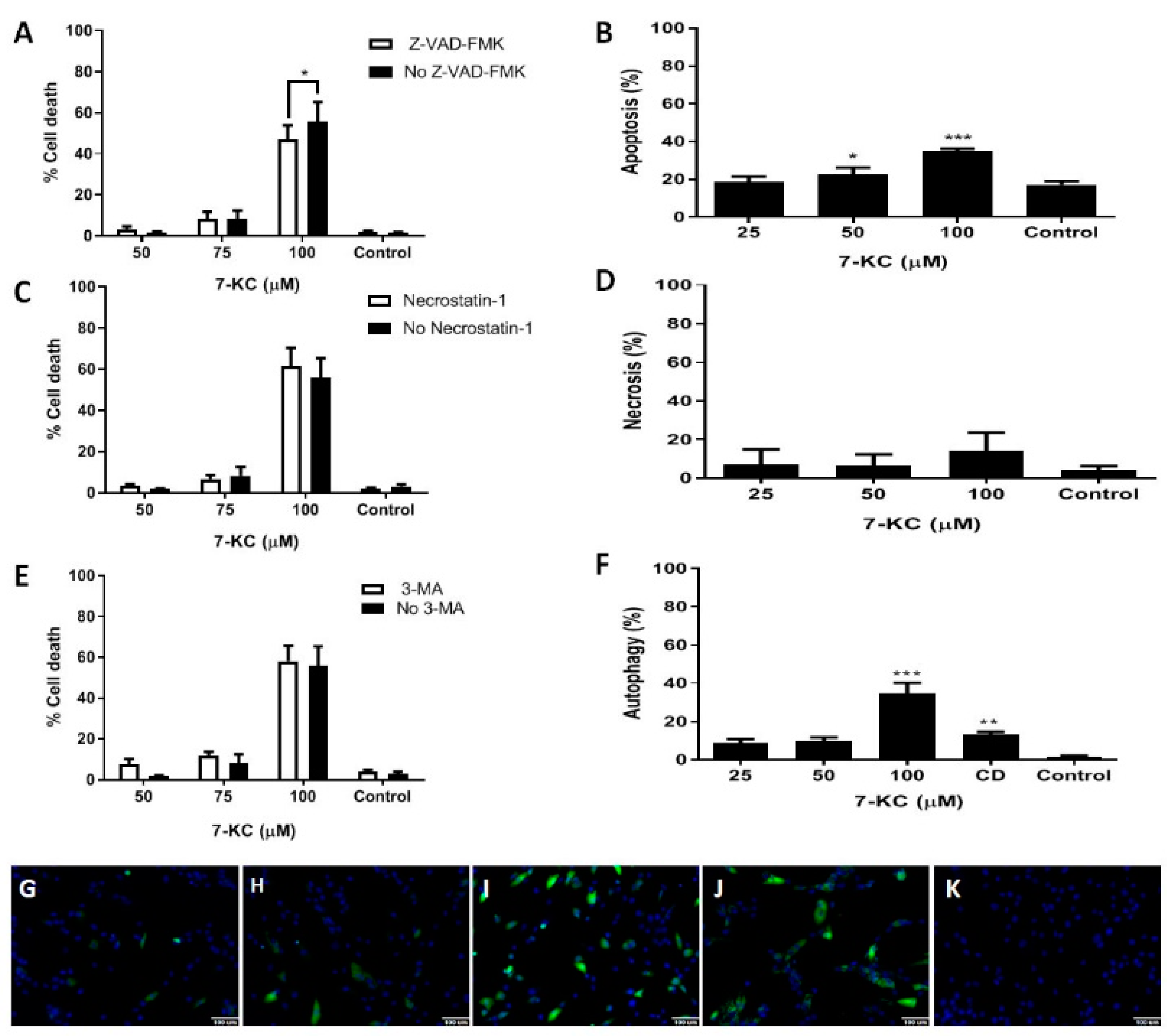 Cells 08 00482 g001