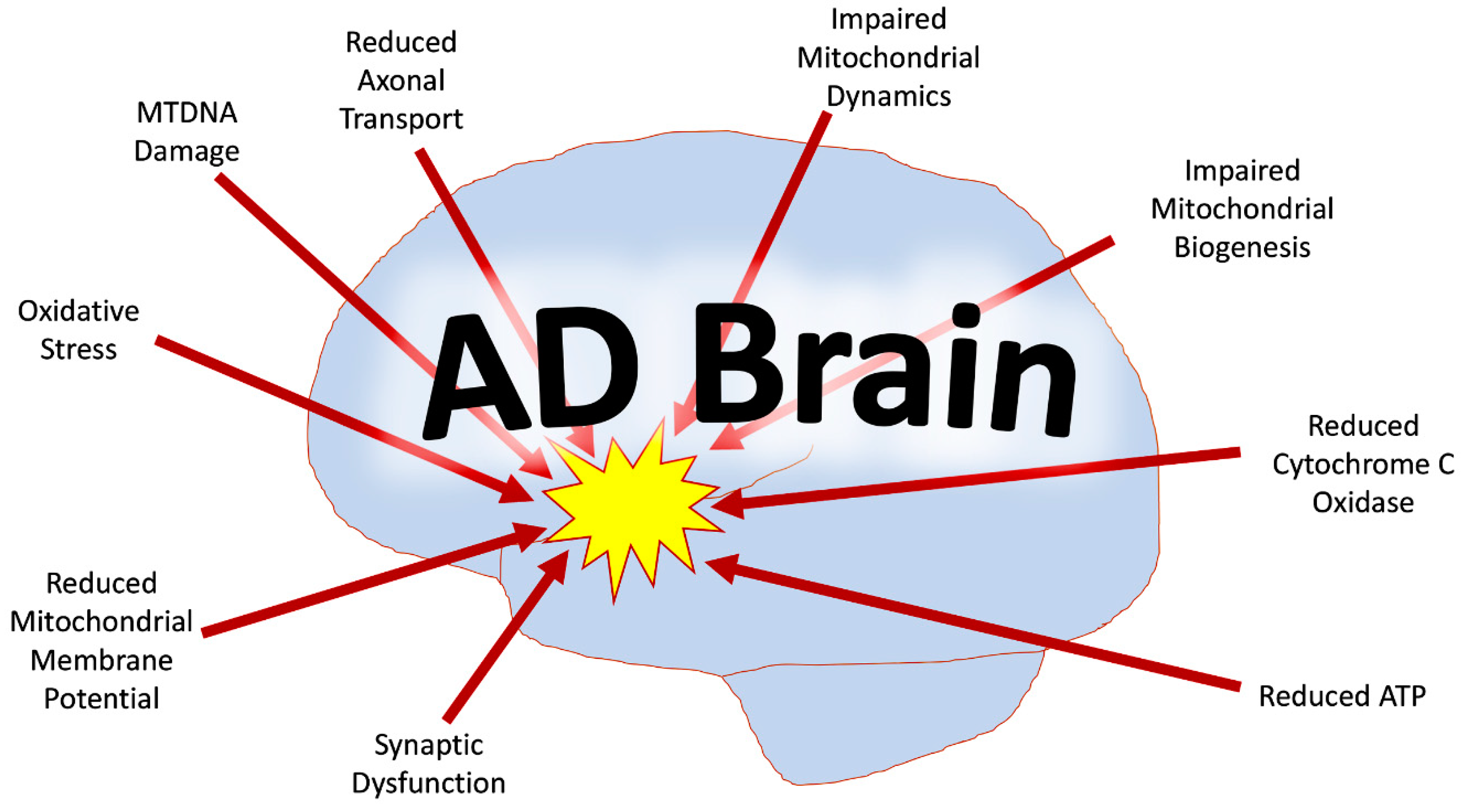 Cells 08 00488 g001 Cells 08 00488 g001