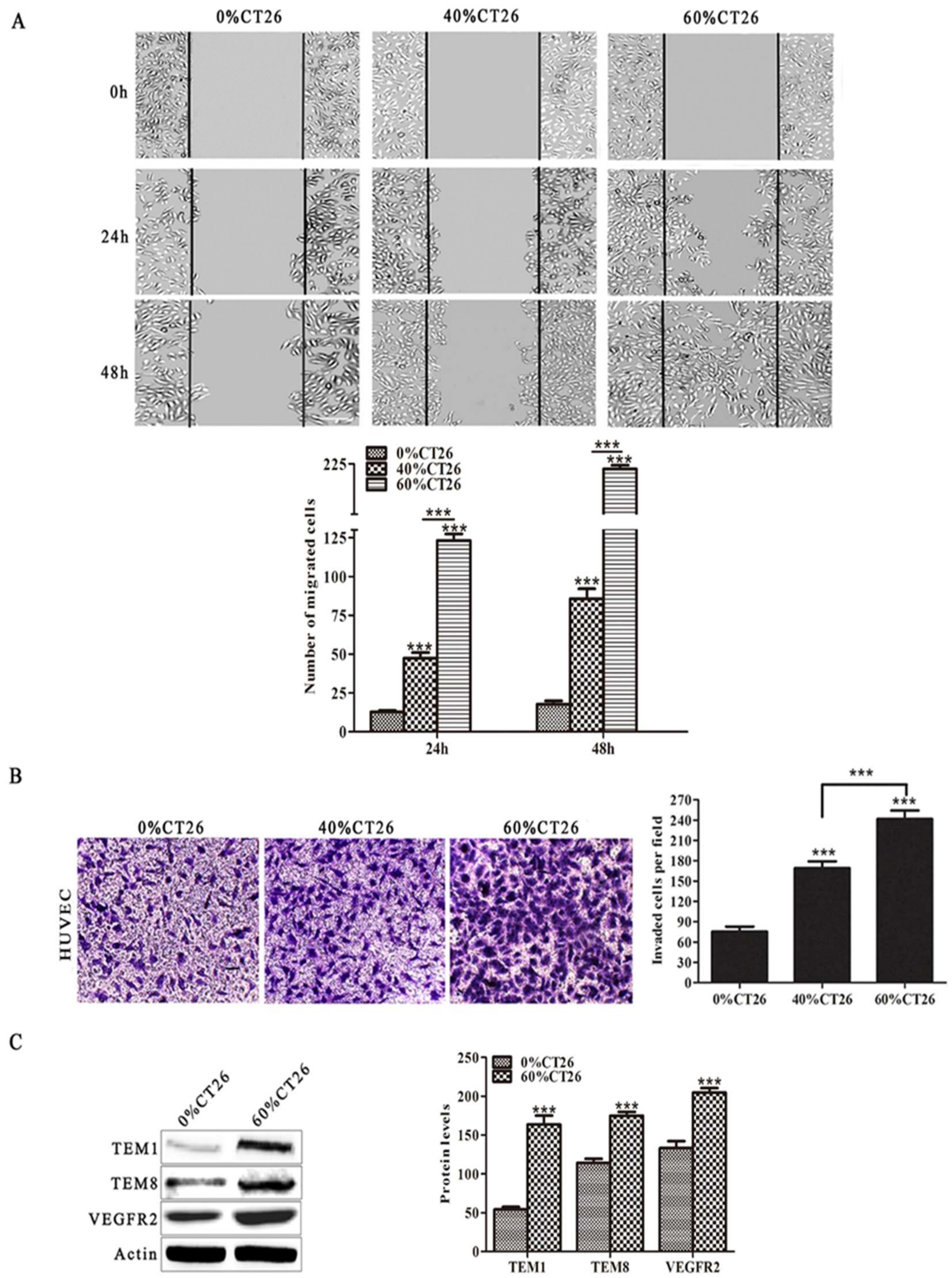 Cells 08 00494 g001