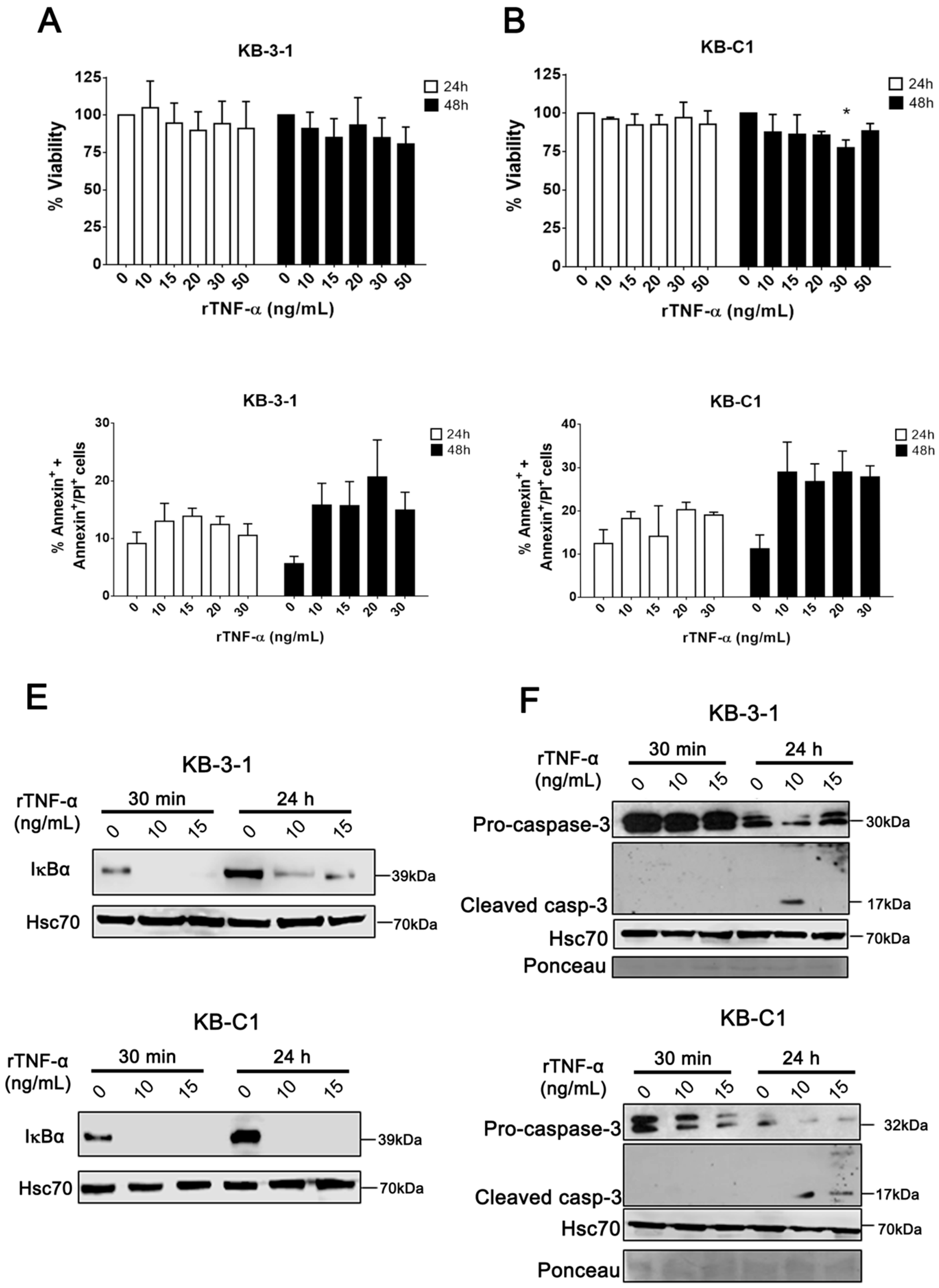 Cells 08 00500 g001 Cells 08 00500 g001