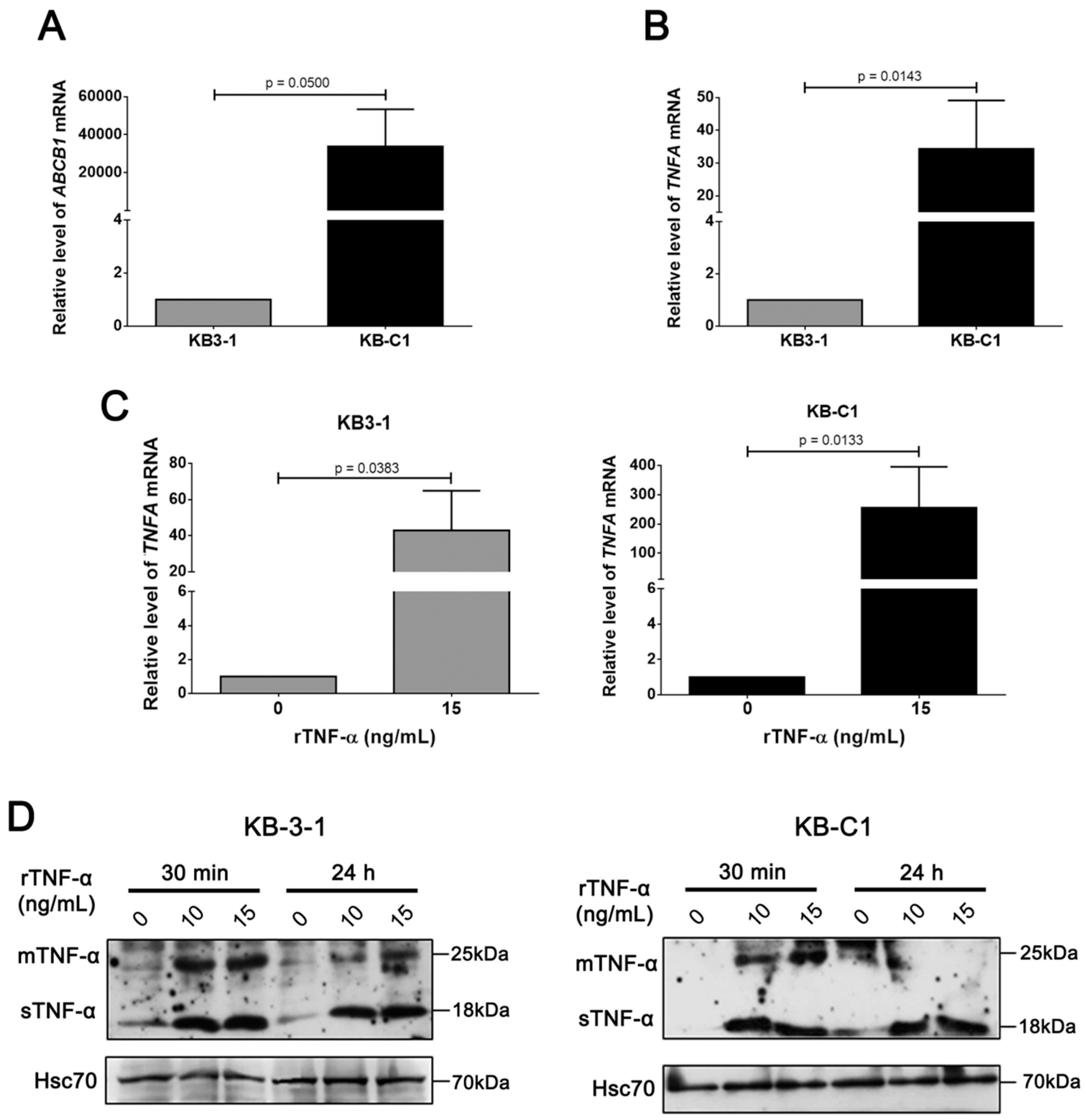 Cells 08 00500 g002 Cells 08 00500 g002