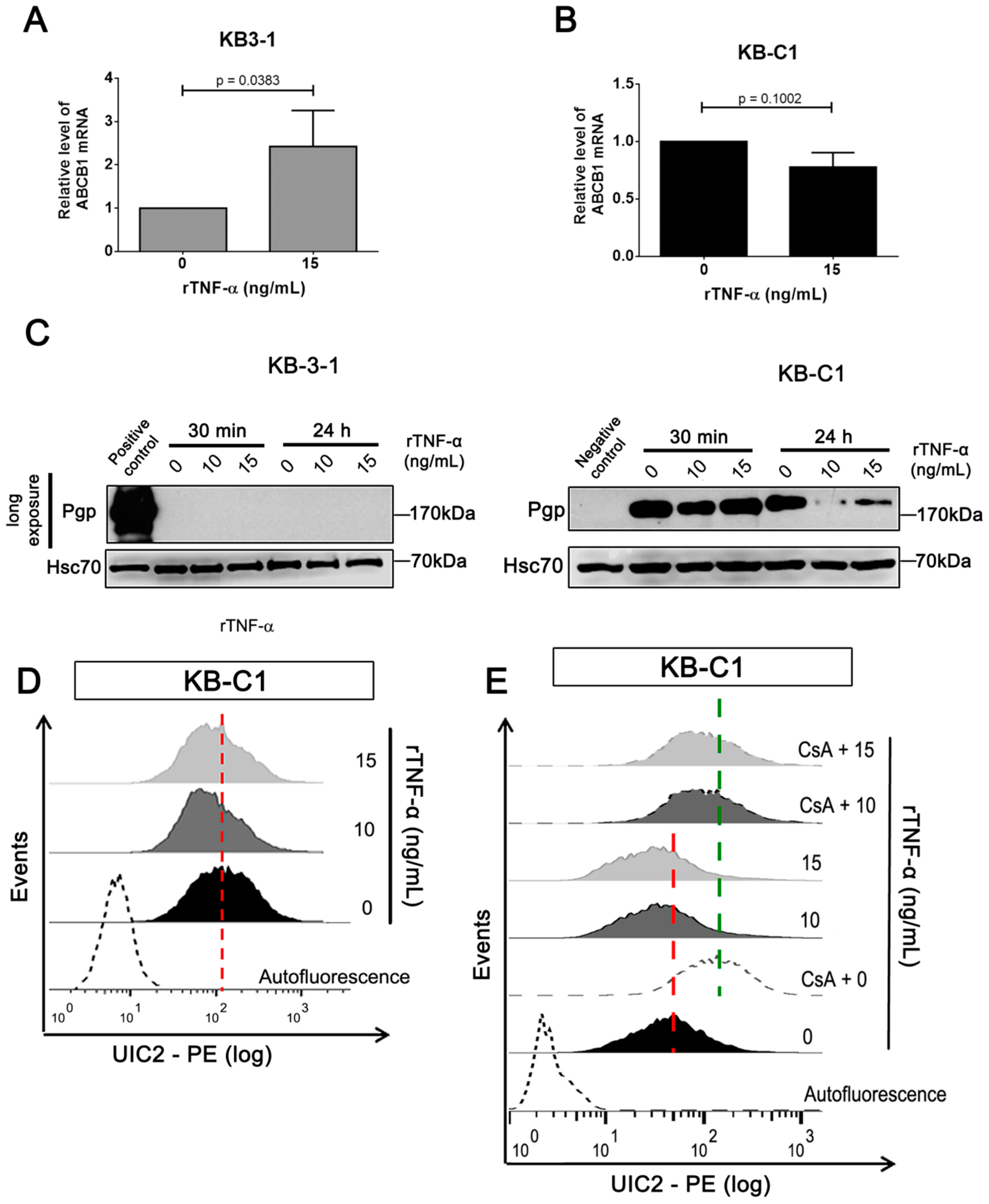 Cells 08 00500 g003 Cells 08 00500 g003