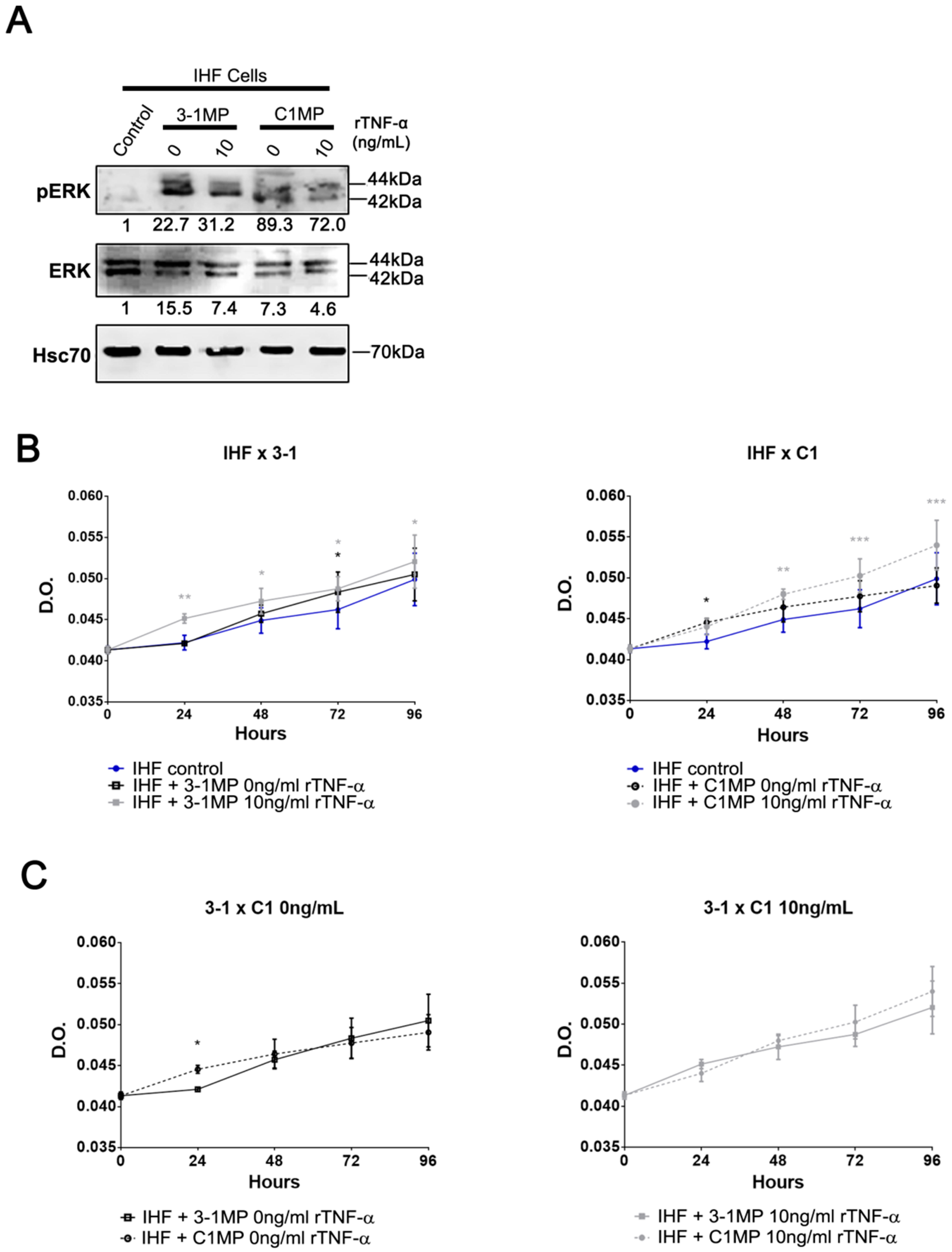 Cells 08 00500 g008 Cells 08 00500 g008