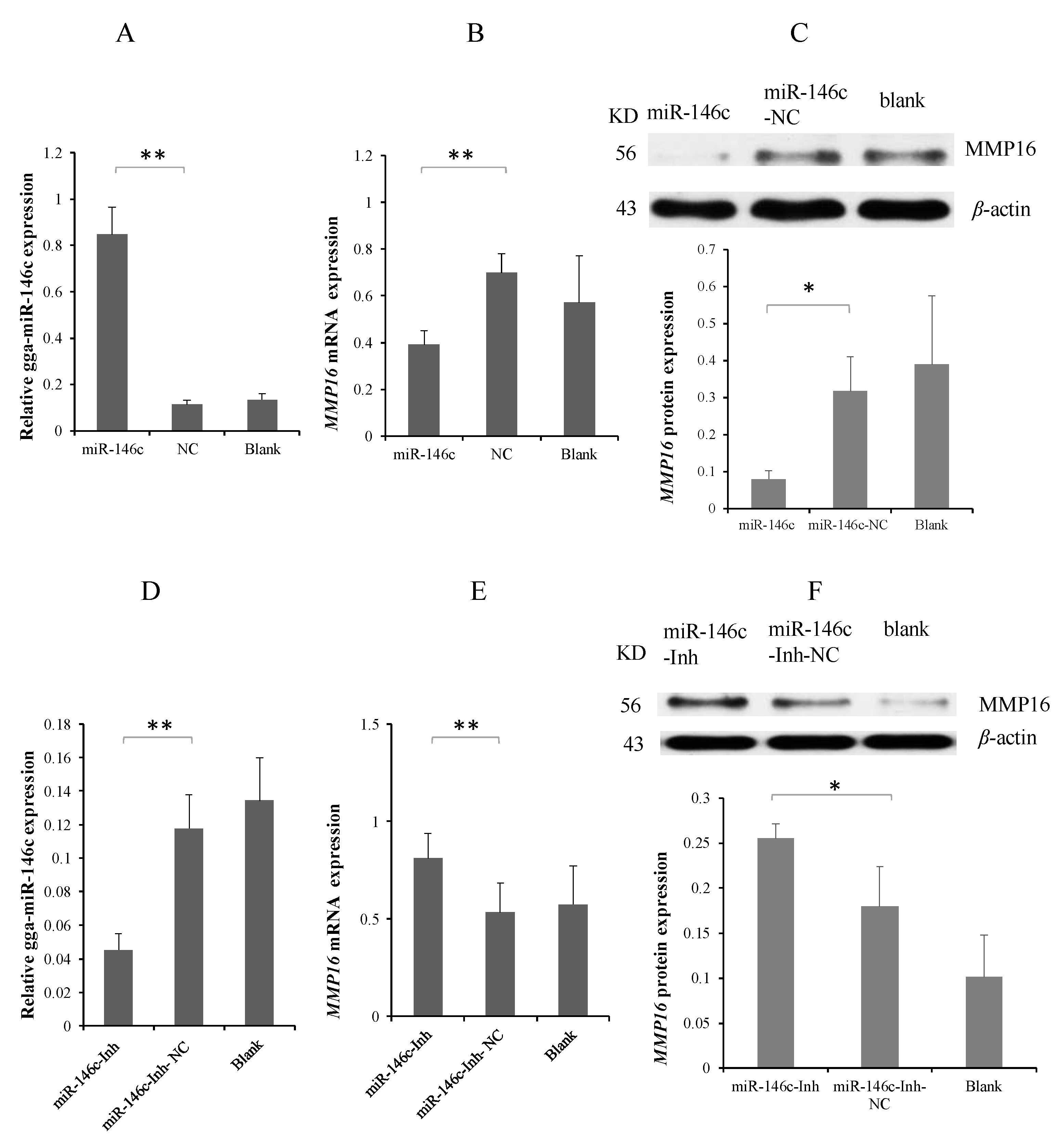 Cells 08 00501 g003 Cells 08 00501 g003