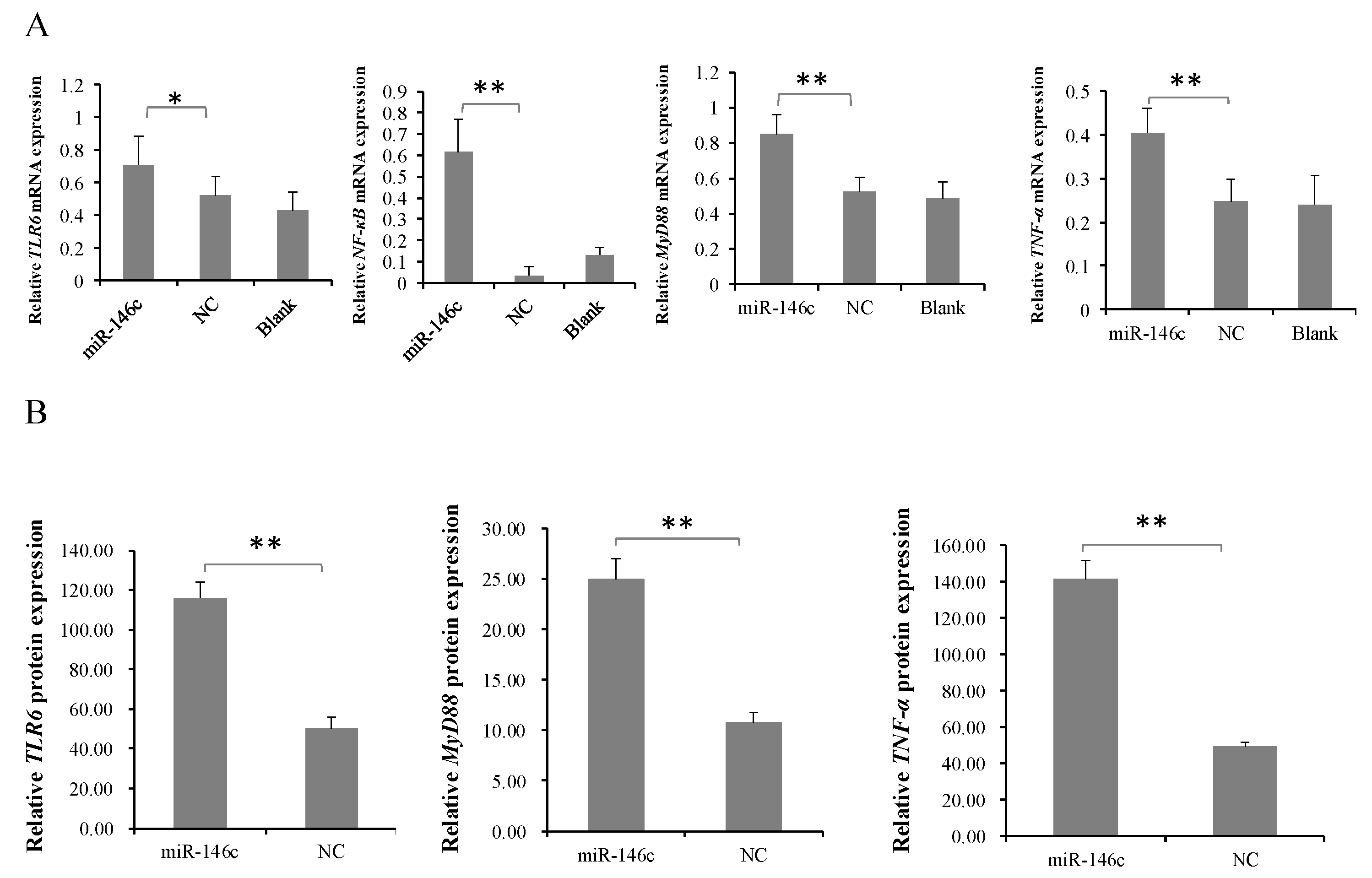 Cells 08 00501 g005a Cells 08 00501 g005a