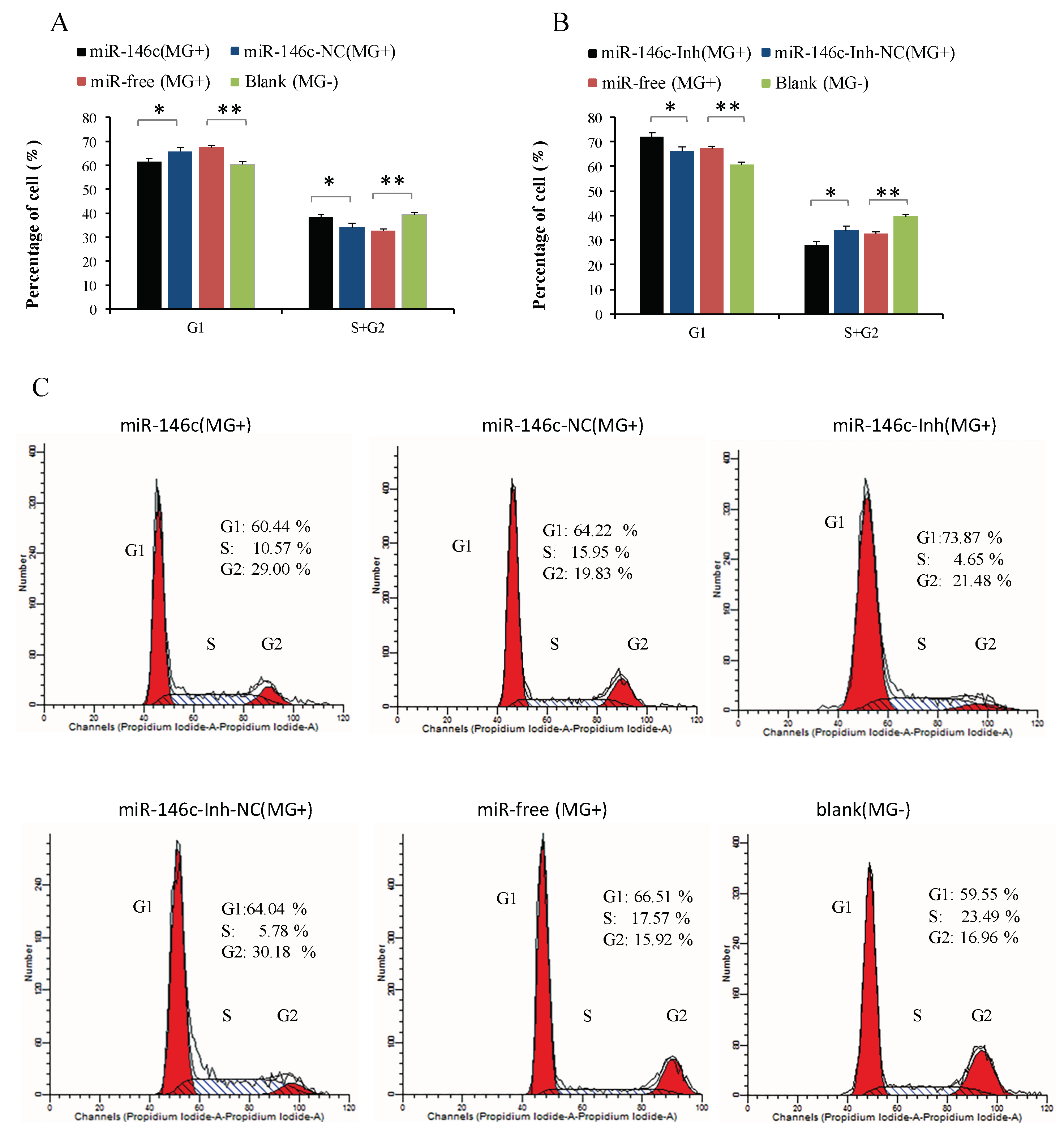 Cells 08 00501 g007 Cells 08 00501 g007