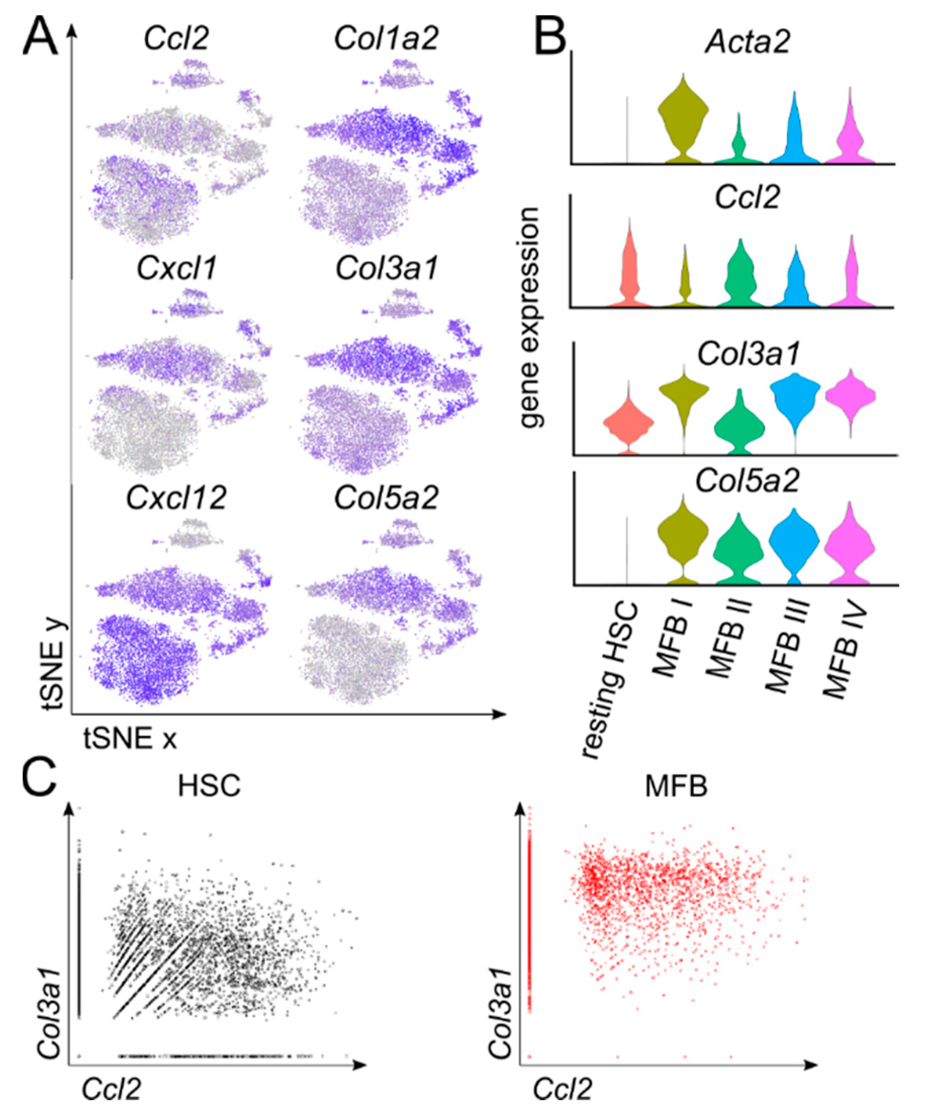 Cells | Free Full-Text | Single Cell RNA Sequencing Identifies Subsets