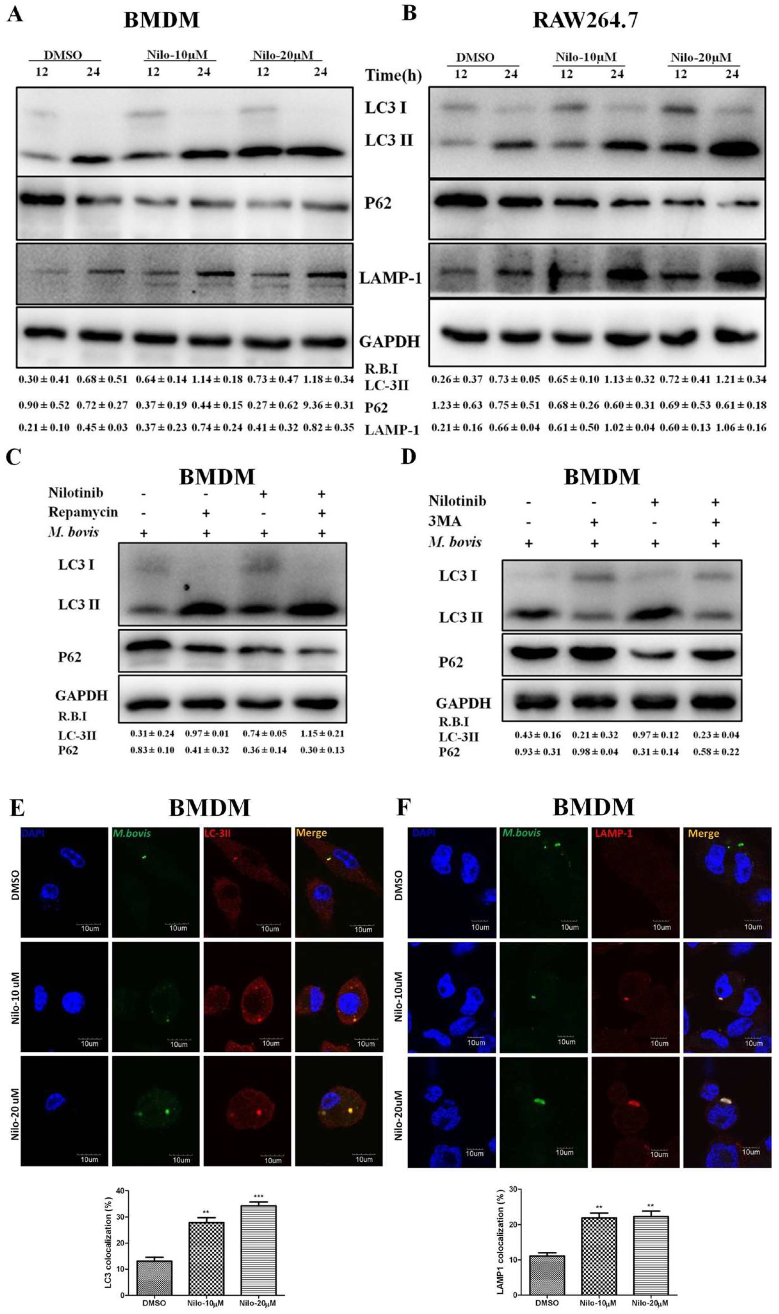 Cells 08 00506 g002a Cells 08 00506 g002a