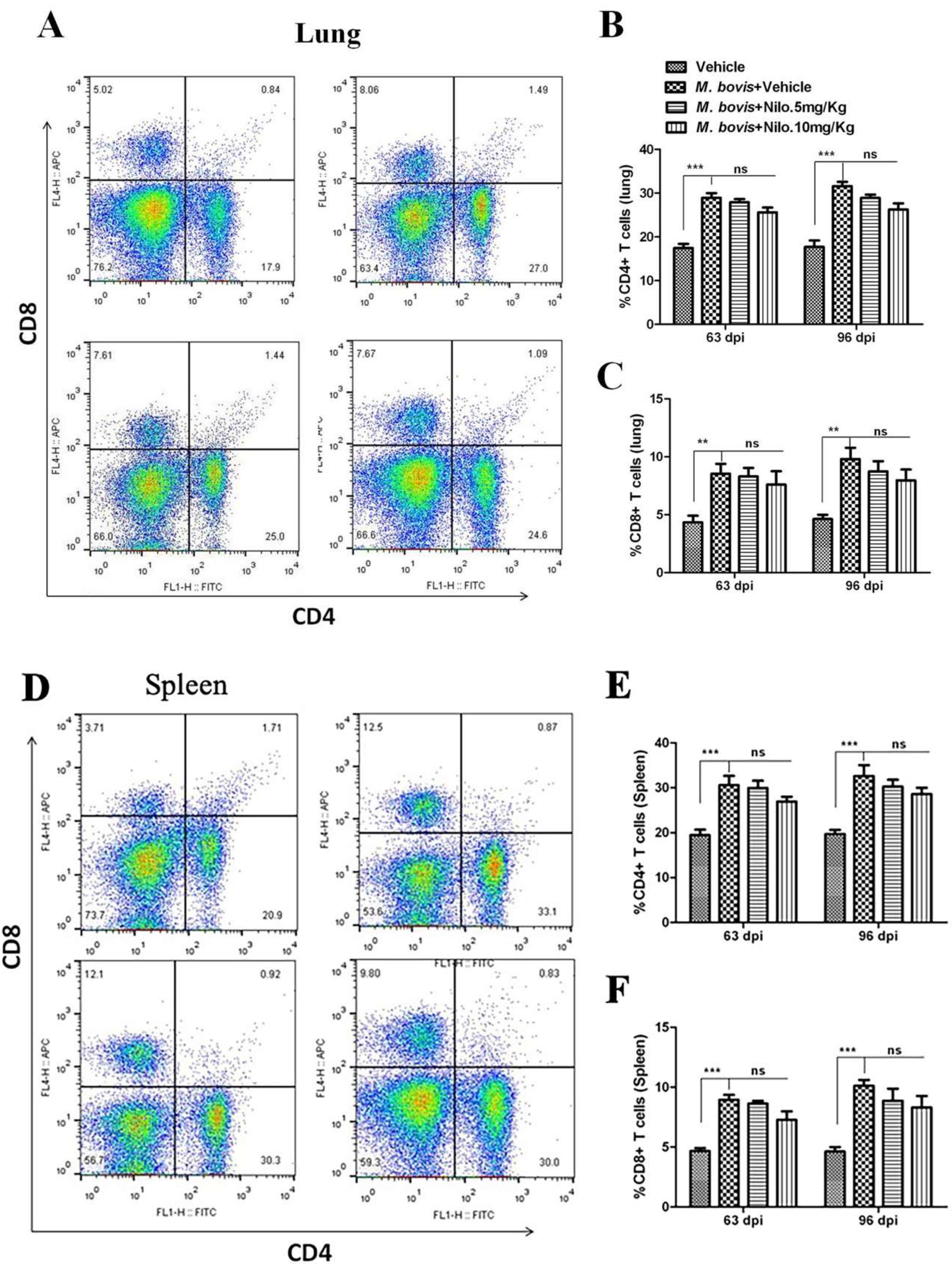 Cells 08 00506 g007a Cells 08 00506 g007a
