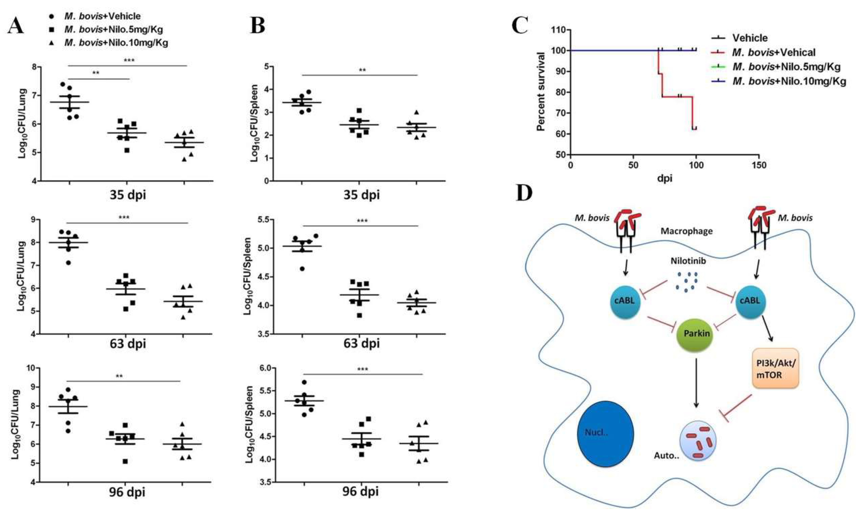 Cells 08 00506 g008 Cells 08 00506 g008