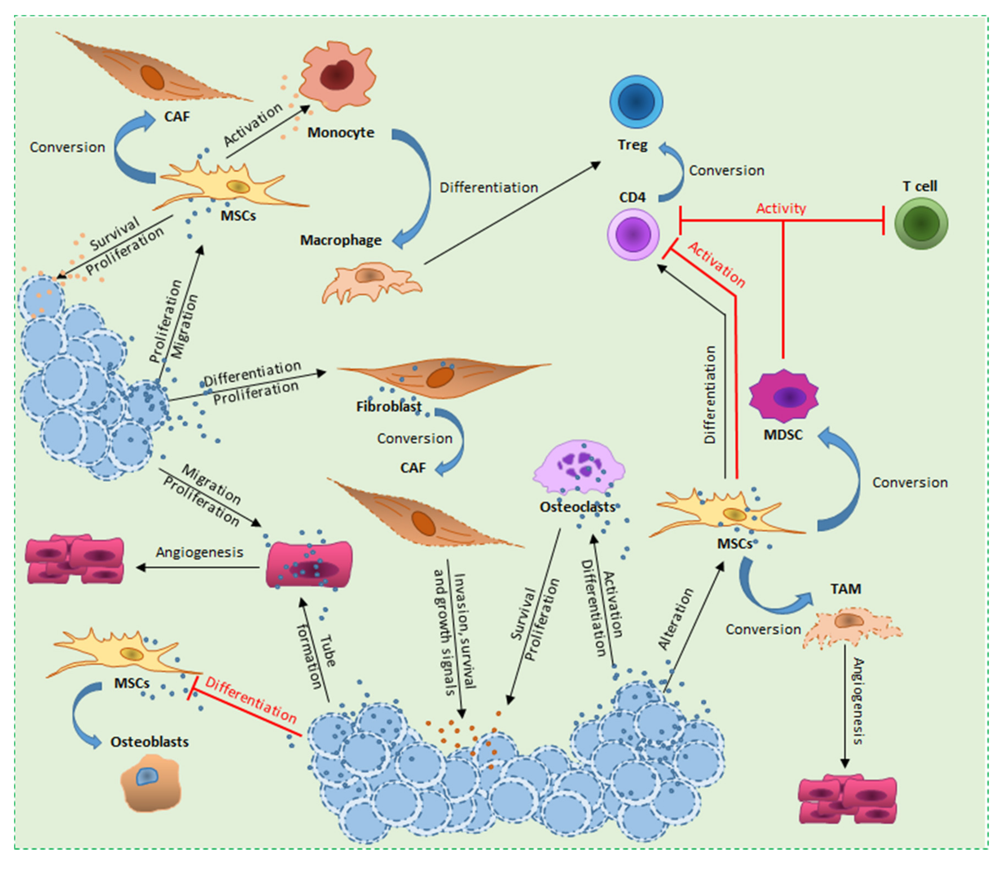 Cells 08 00511 g002