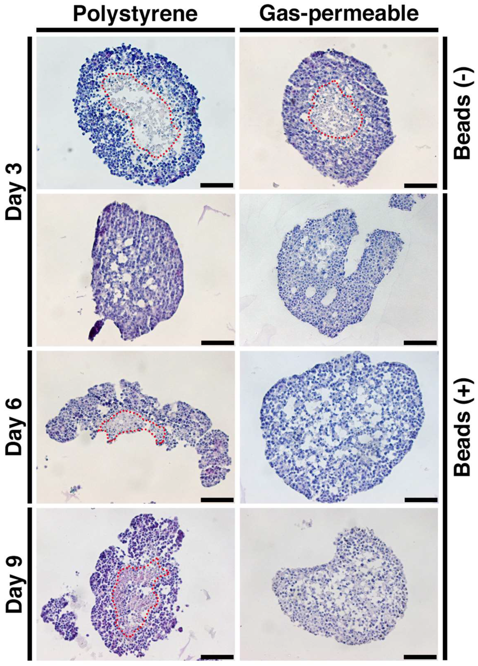 Cells 08 00525 g004