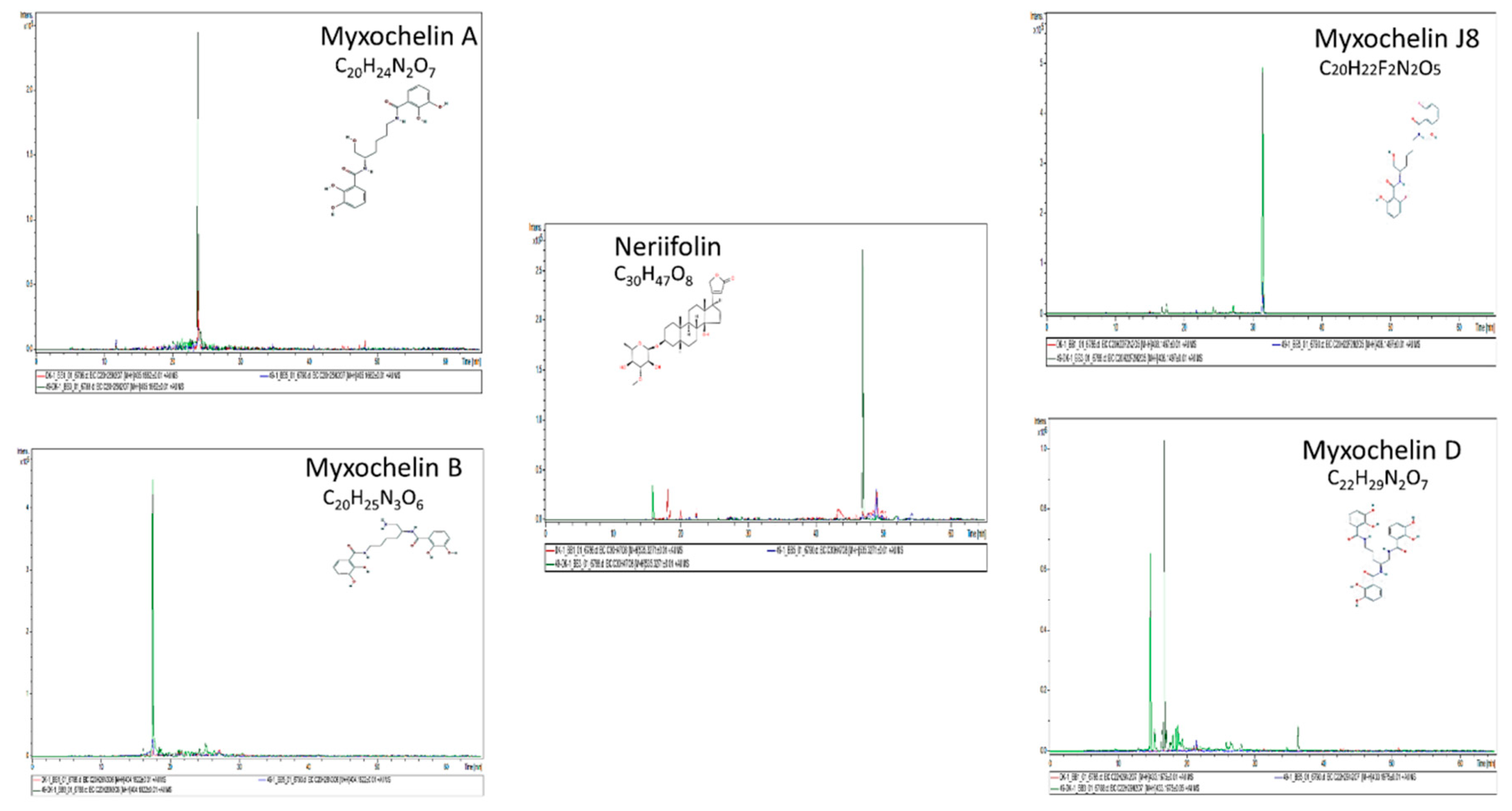 Cells 08 00530 g006 Cells 08 00530 g006