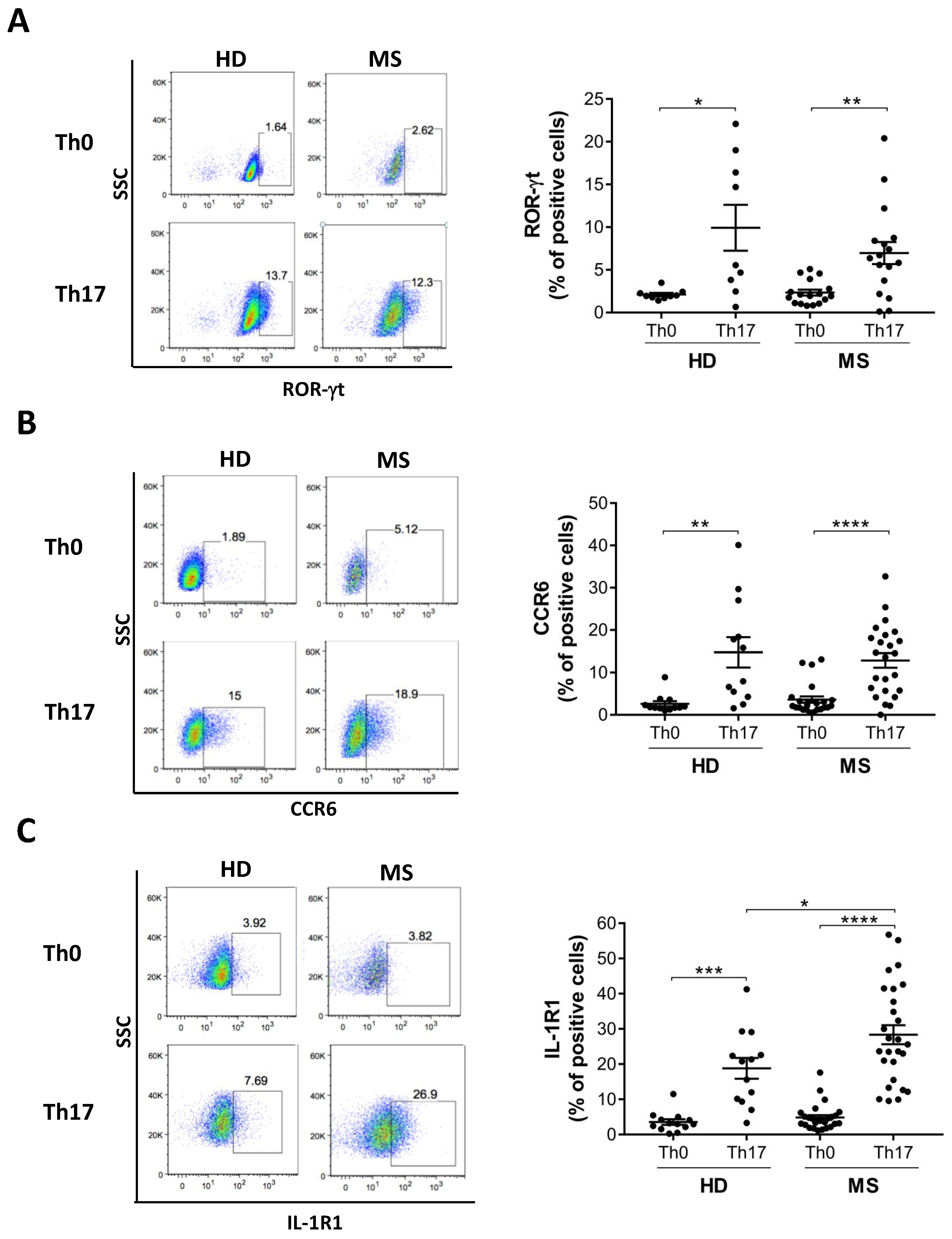 Cells 08 00533 g003 Cells 08 00533 g003