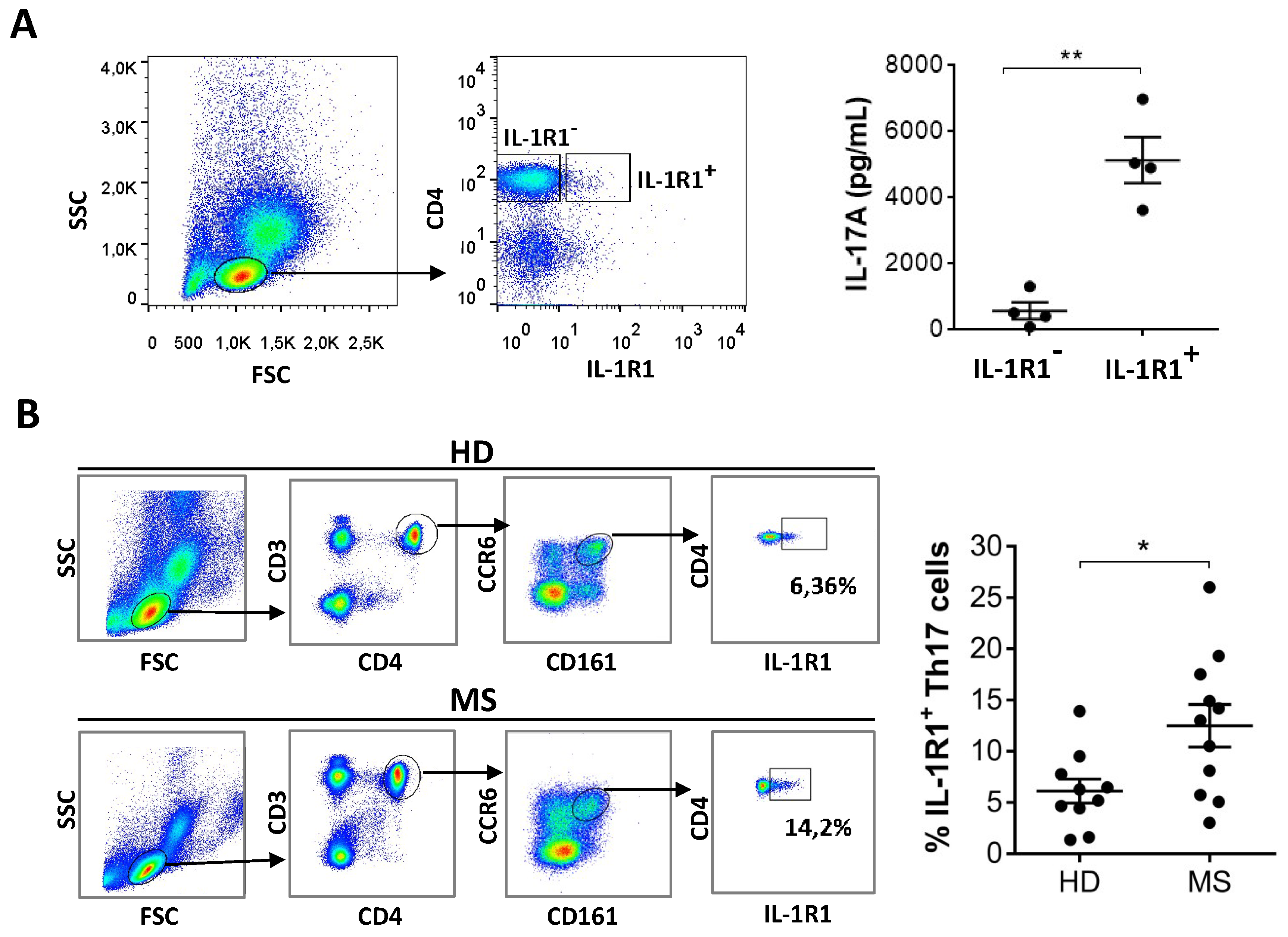 Cells 08 00533 g004 Cells 08 00533 g004