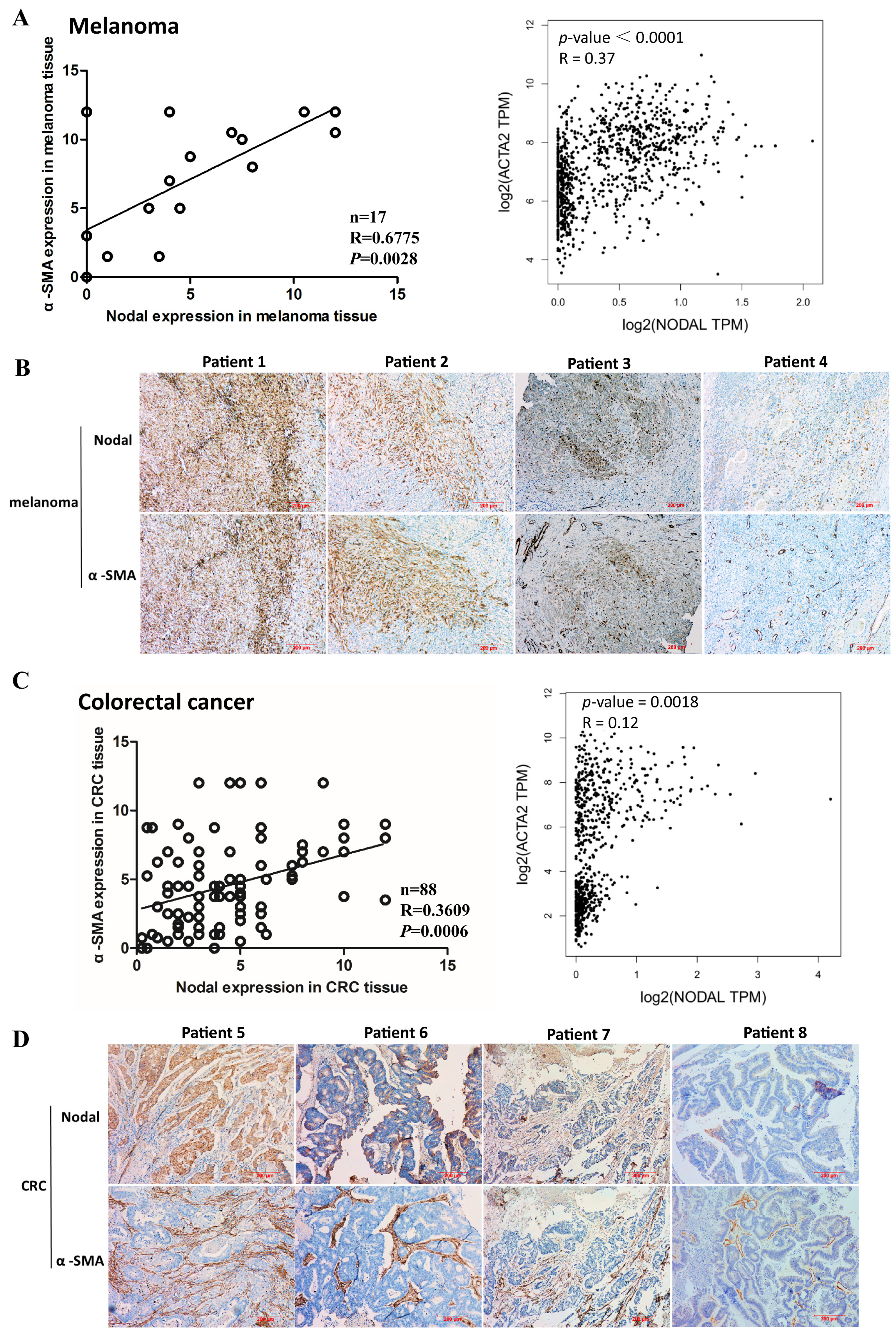 Cells 08 00538 g001 Cells 08 00538 g001
