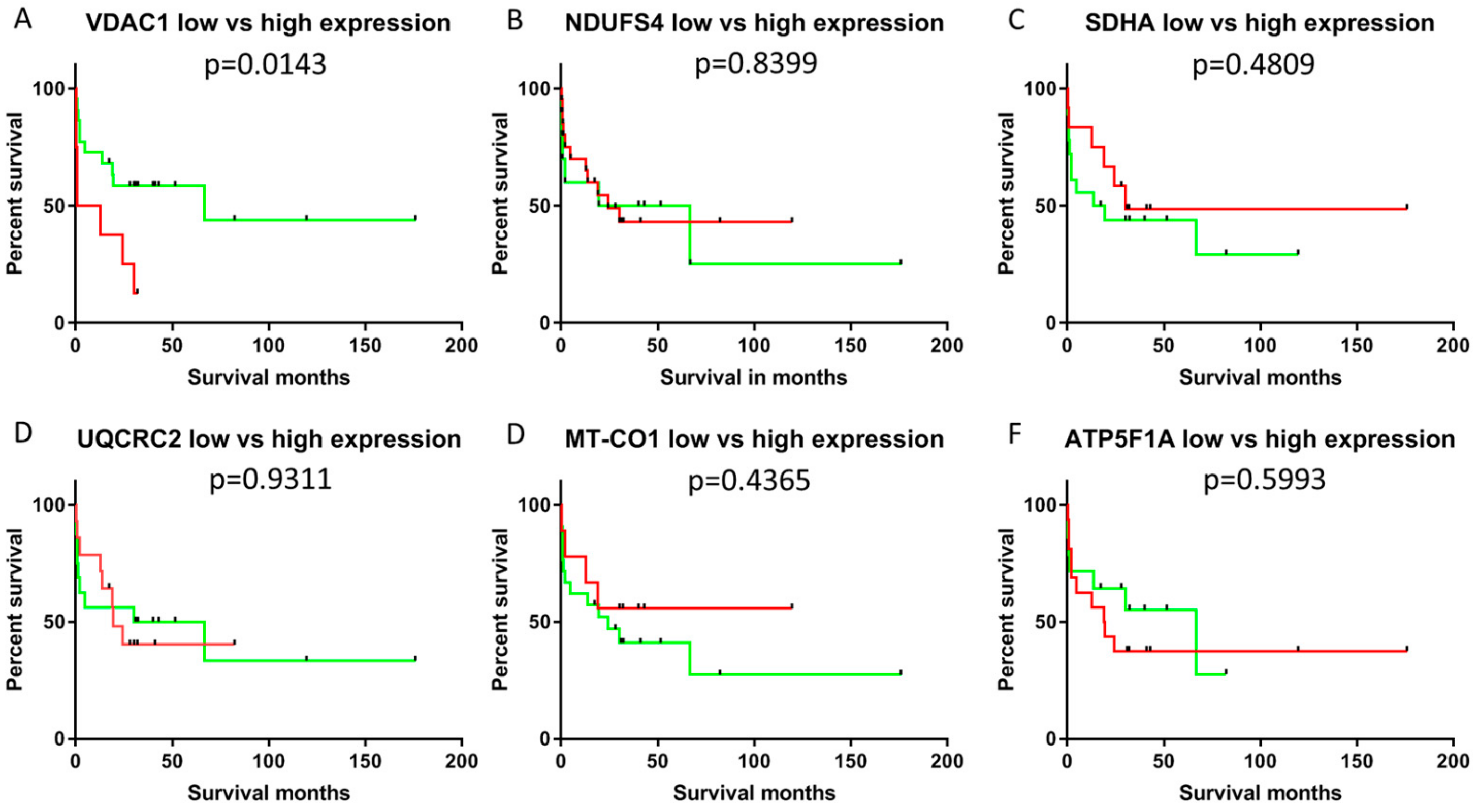 Cells 08 00539 g005 Cells 08 00539 g005
