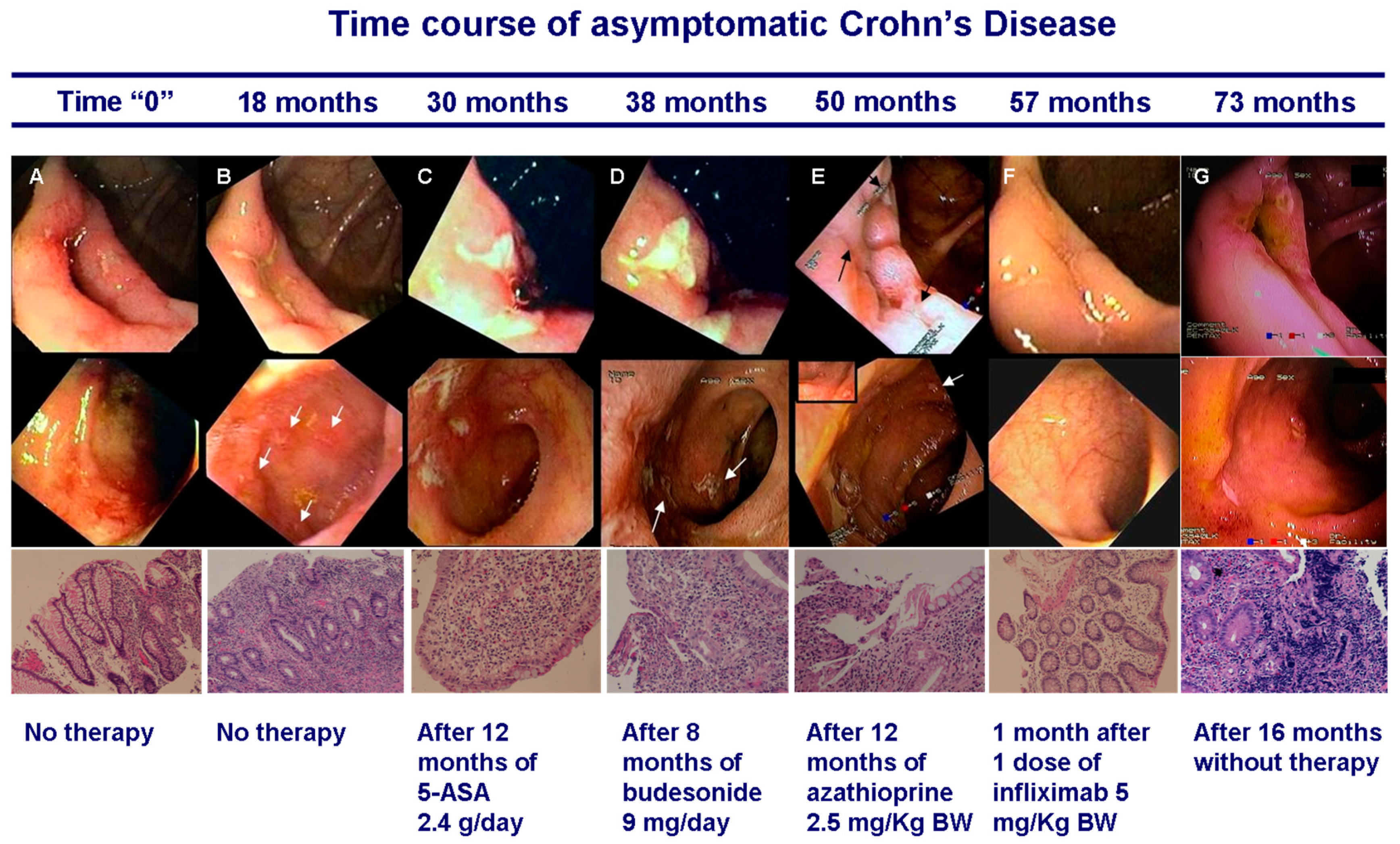 Cells 08 00548 g002 Cells 08 00548 g002