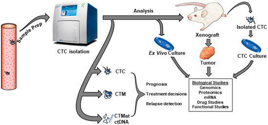 Insights on CTC Biology and Clinical Impact Emerging from Advances in ...