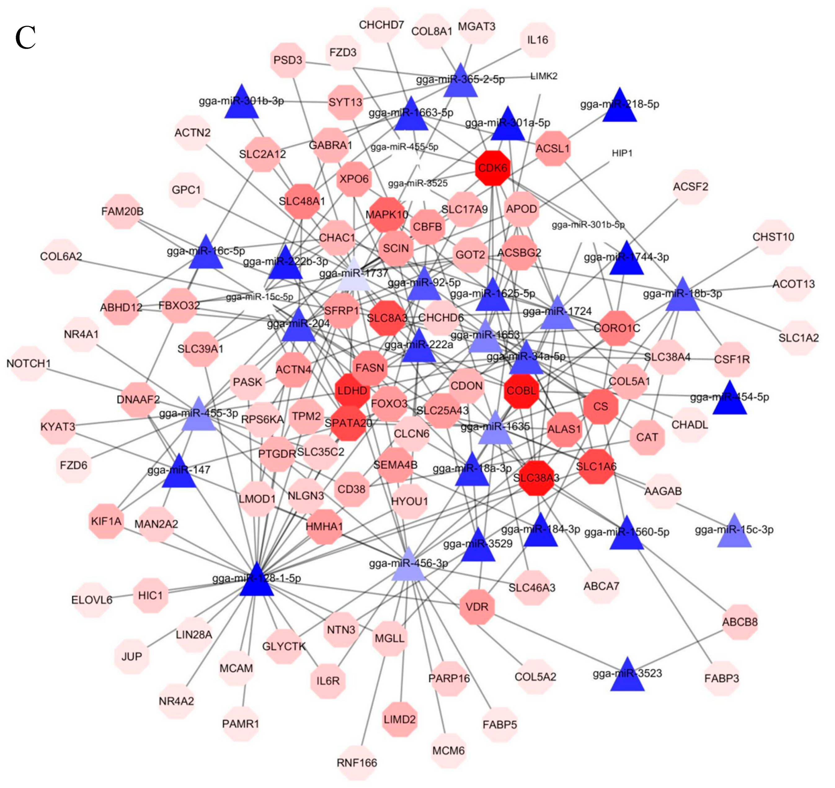 Cells 08 00556 g003b Cells 08 00556 g003b