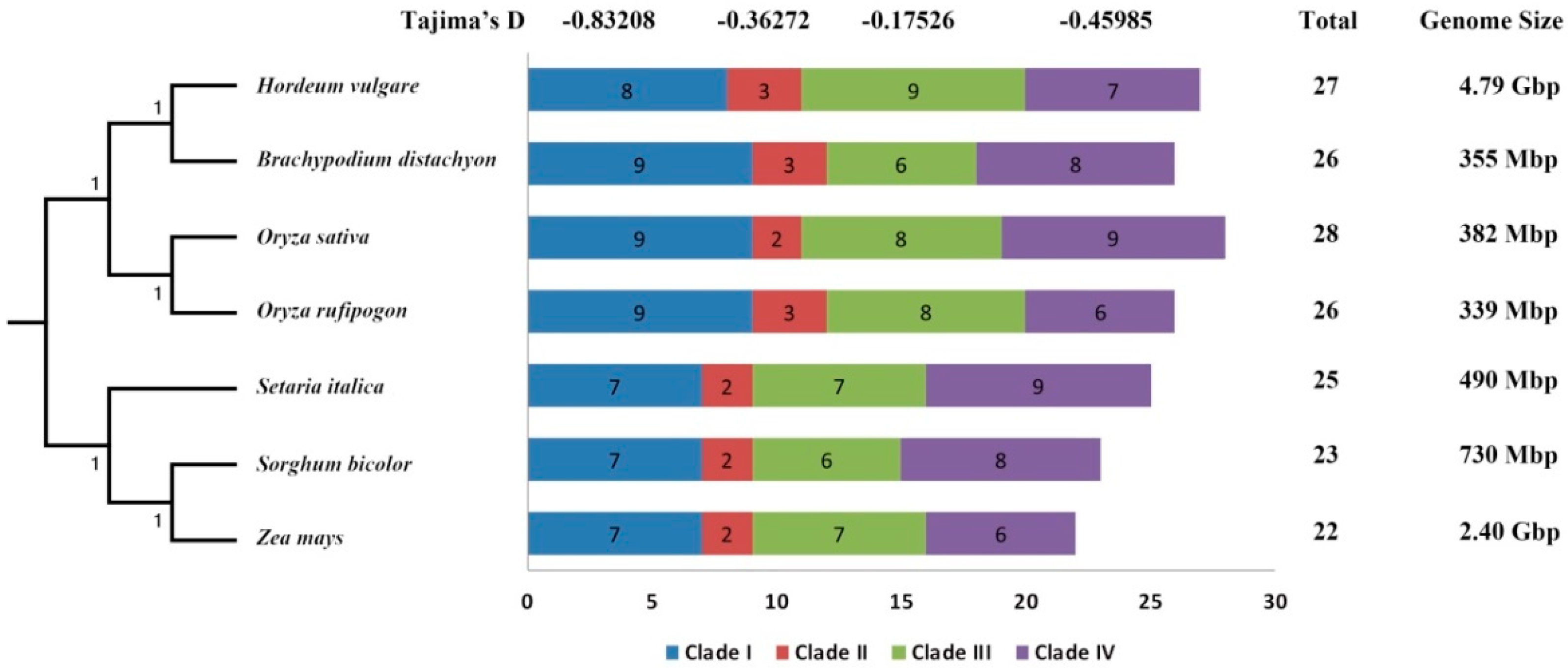 Cells 08 00560 g002 Cells 08 00560 g002