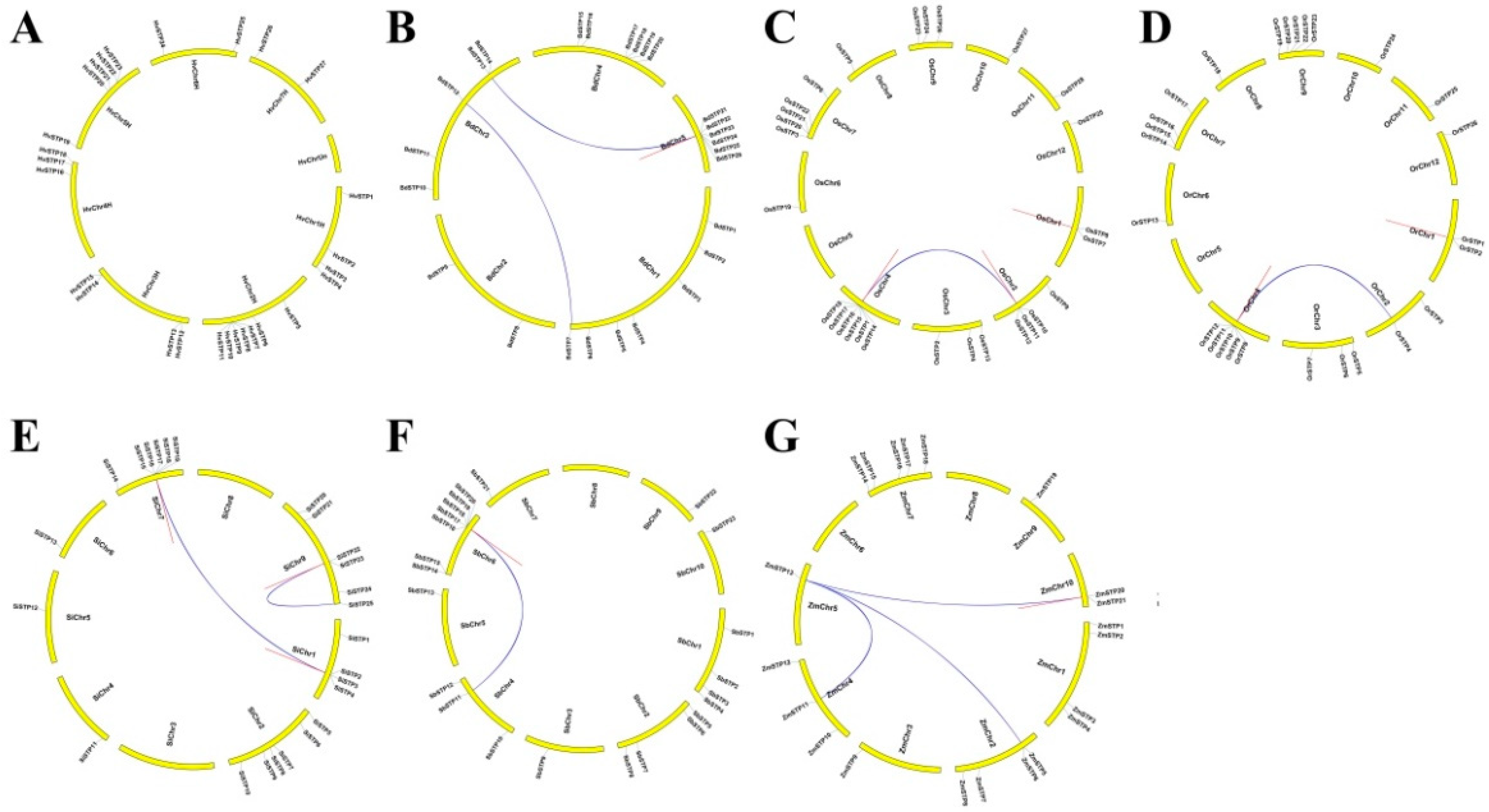 Cells 08 00560 g003 Cells 08 00560 g003