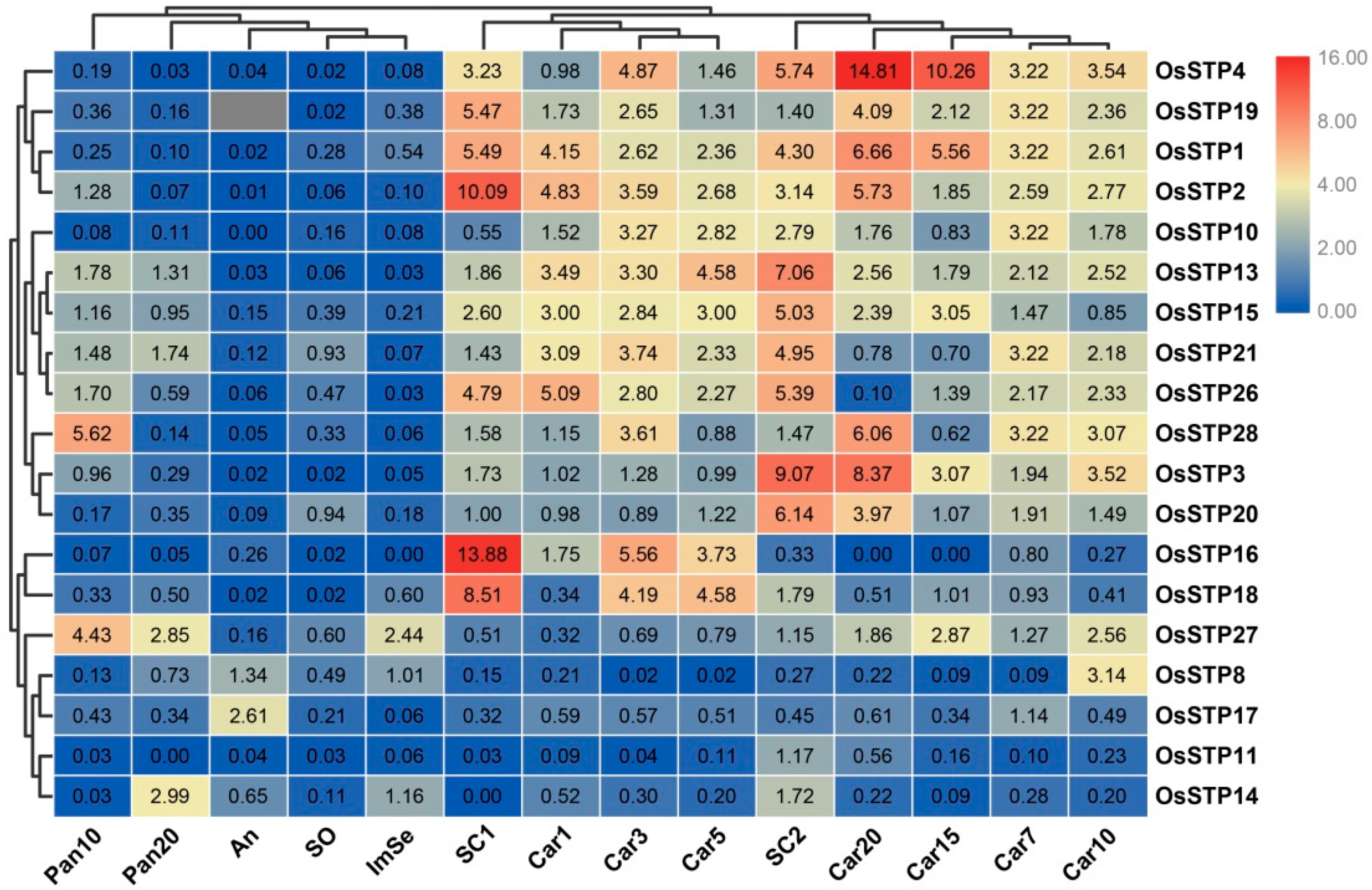 Cells 08 00560 g004 Cells 08 00560 g004