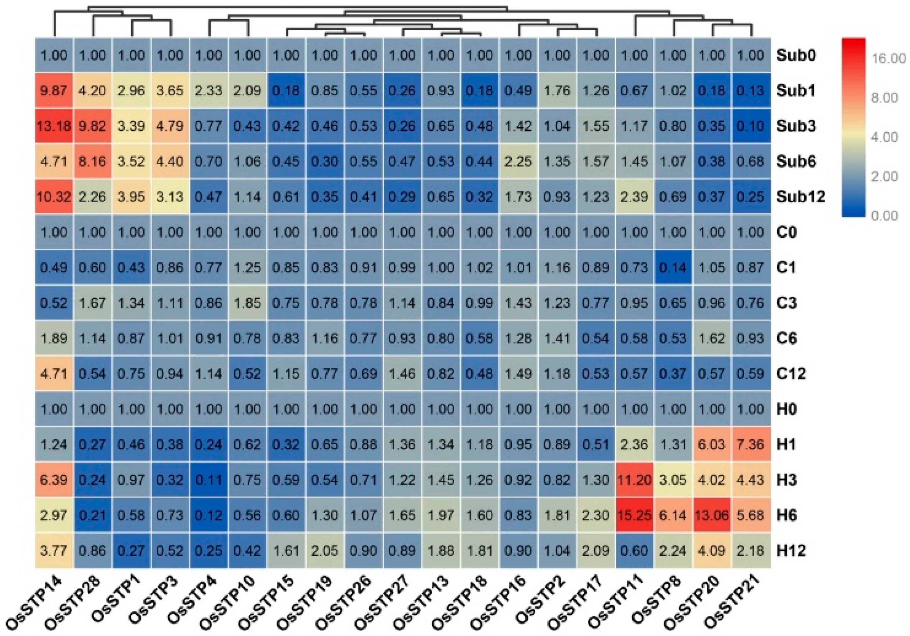 Cells 08 00560 g005 Cells 08 00560 g005