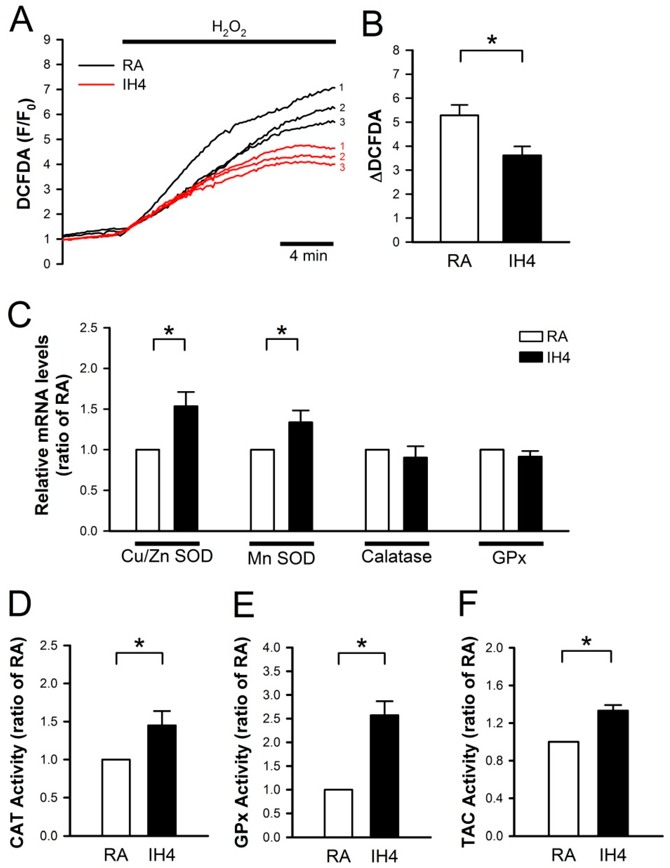 Cells 08 00564 g002 Cells 08 00564 g002