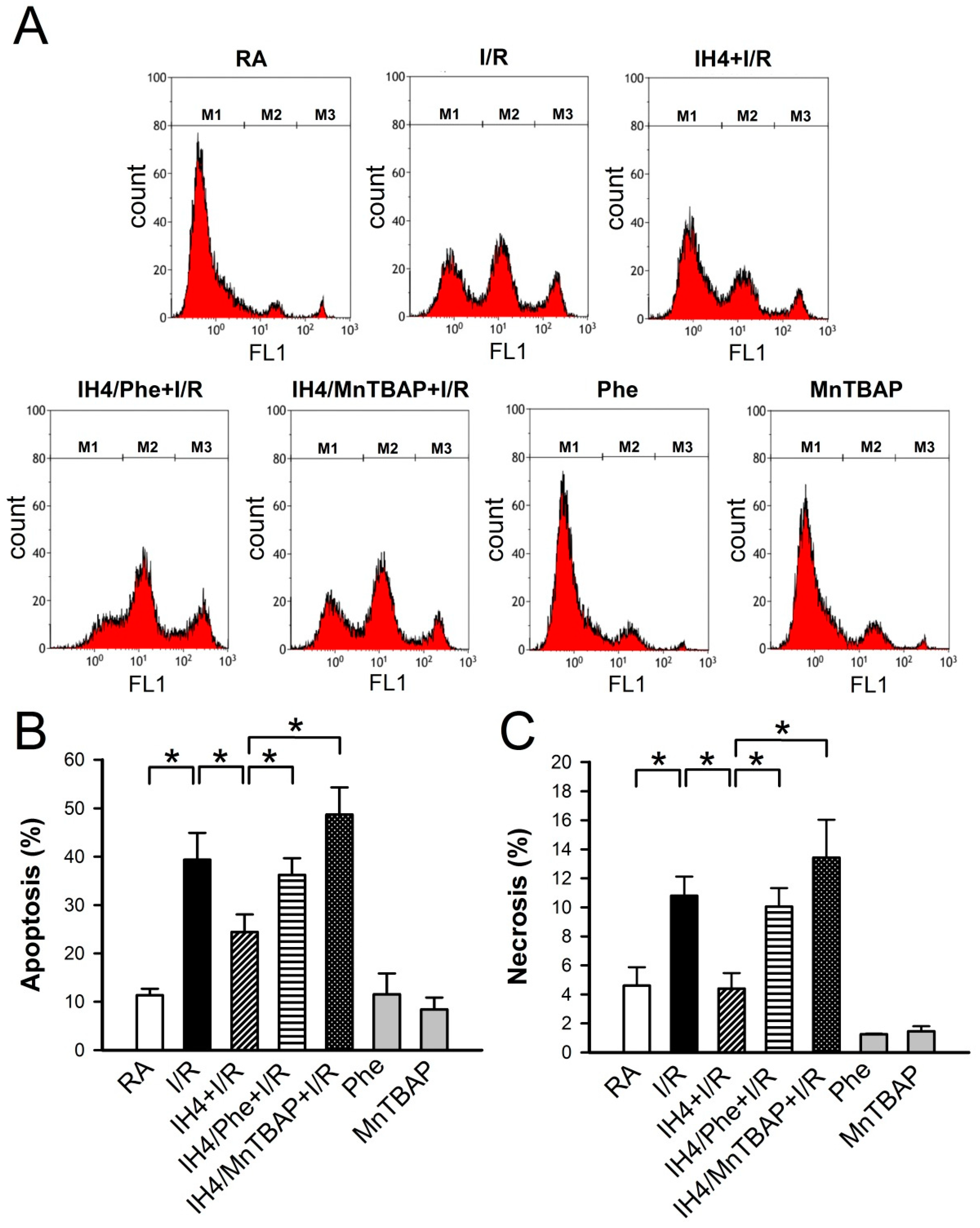 Cells 08 00564 g006 Cells 08 00564 g006