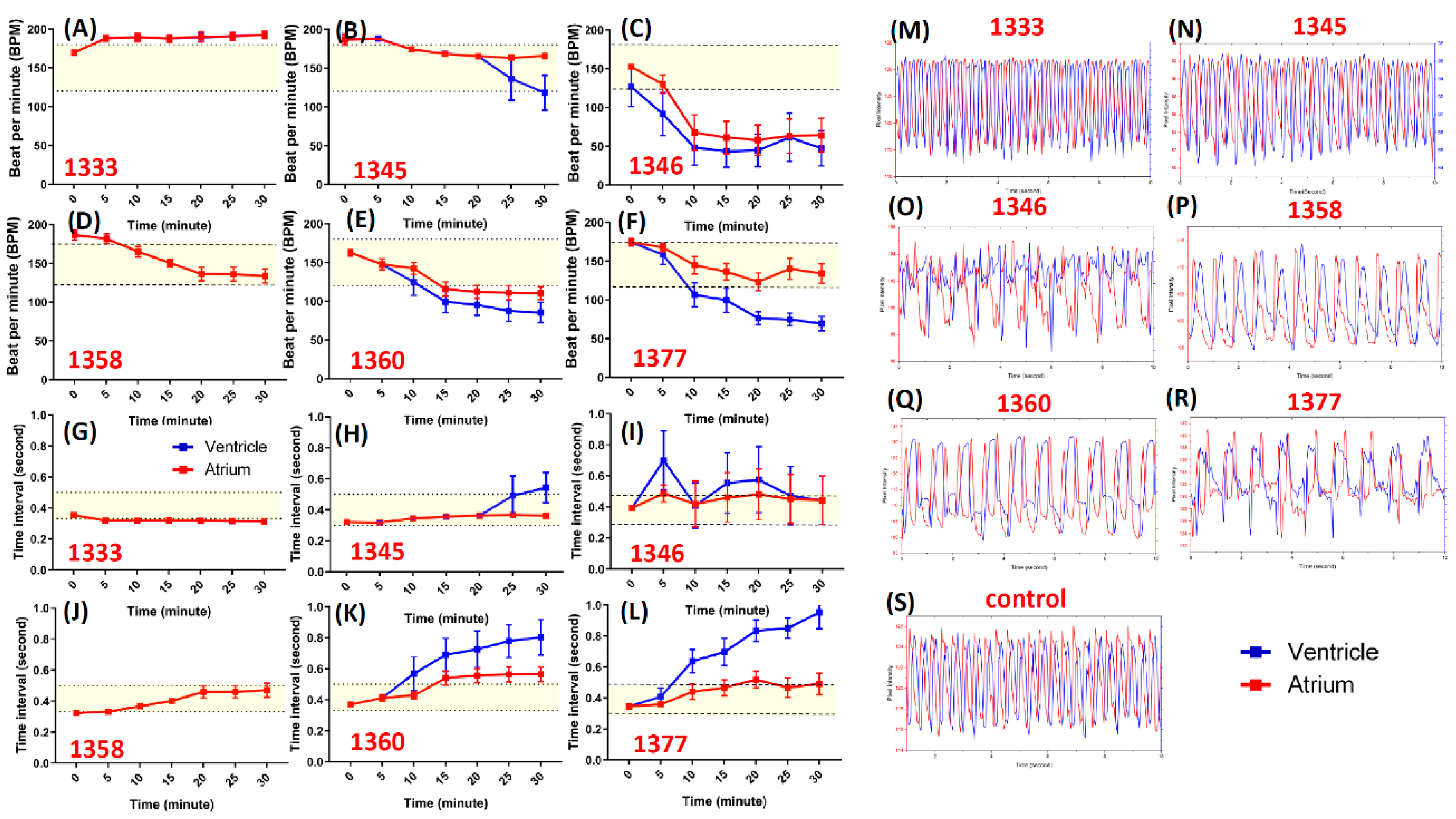 Cells 08 00566 g003 Cells 08 00566 g003