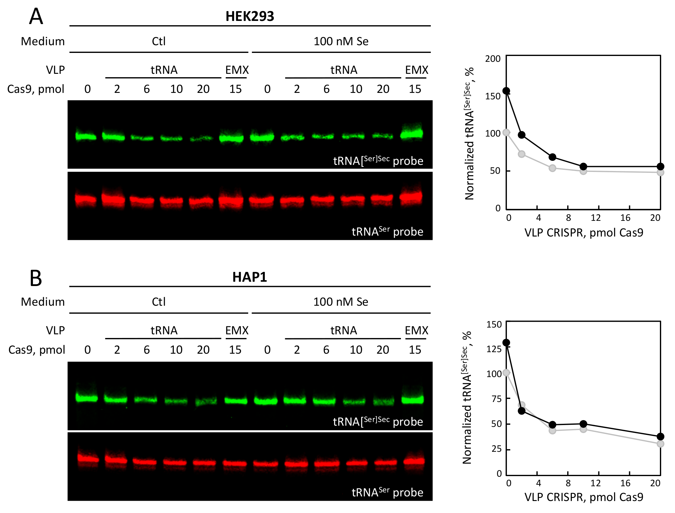 Cells 08 00574 g006