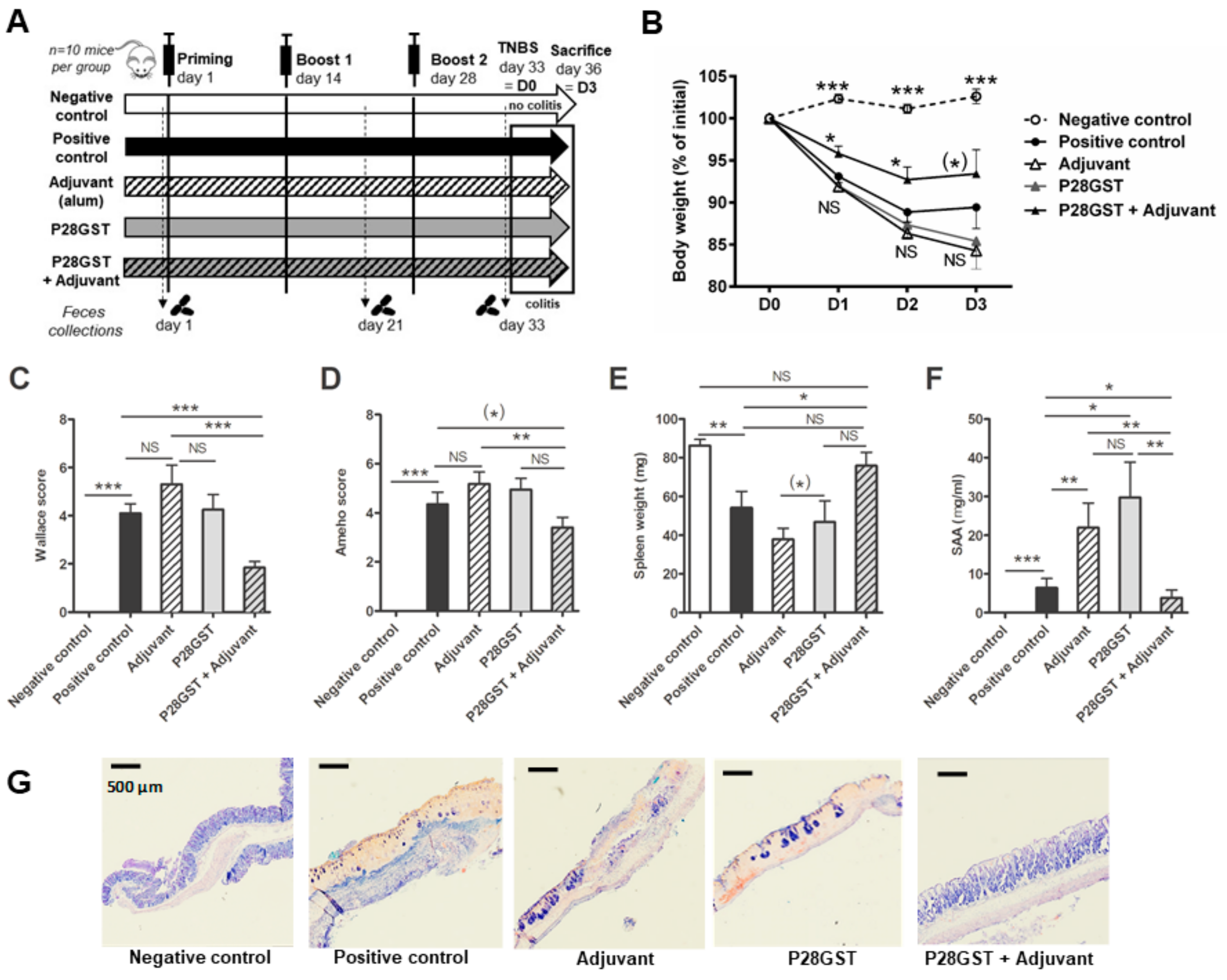 Cells 08 00577 g001