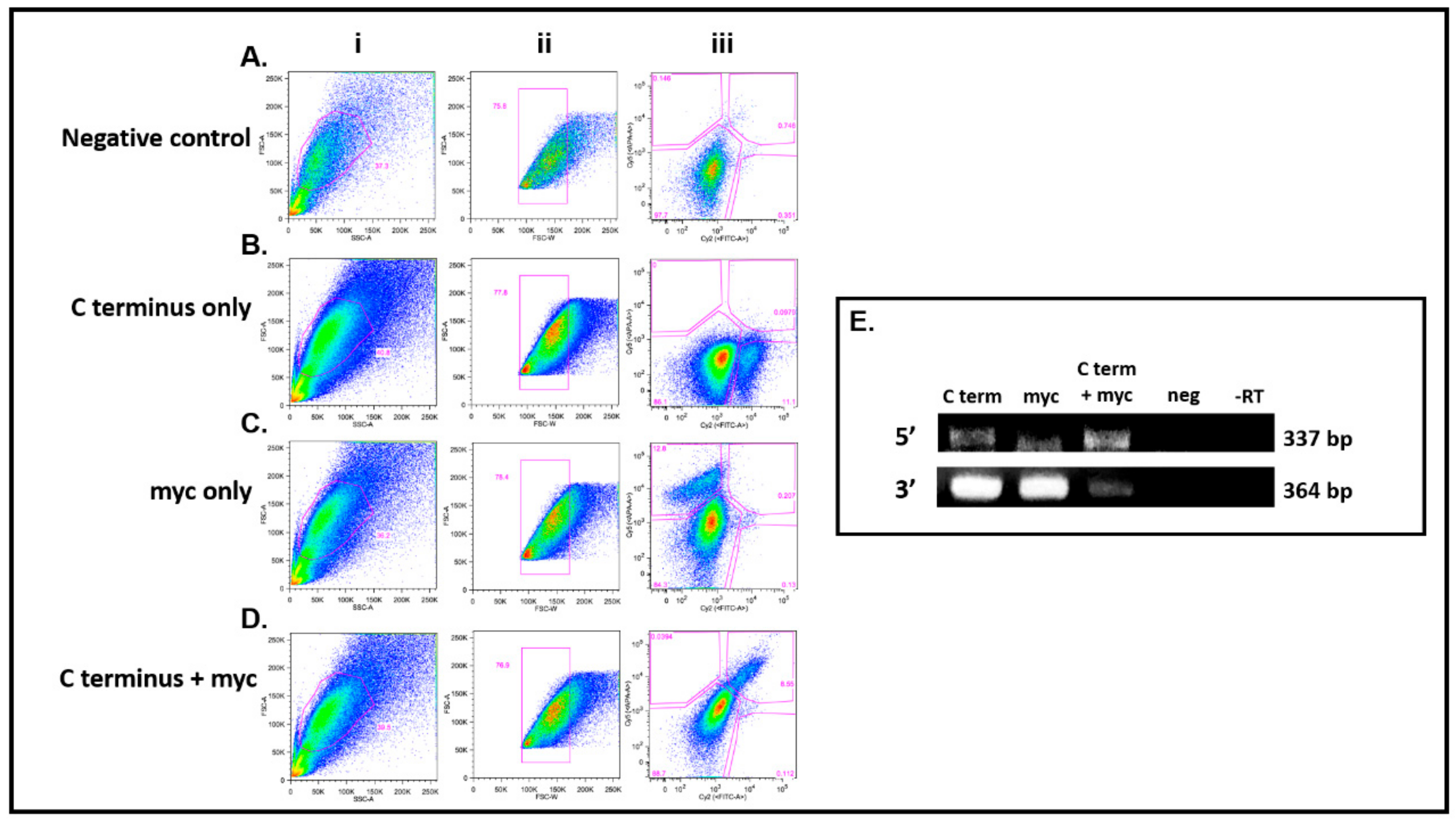 Cells 08 00578 g005 Cells 08 00578 g005