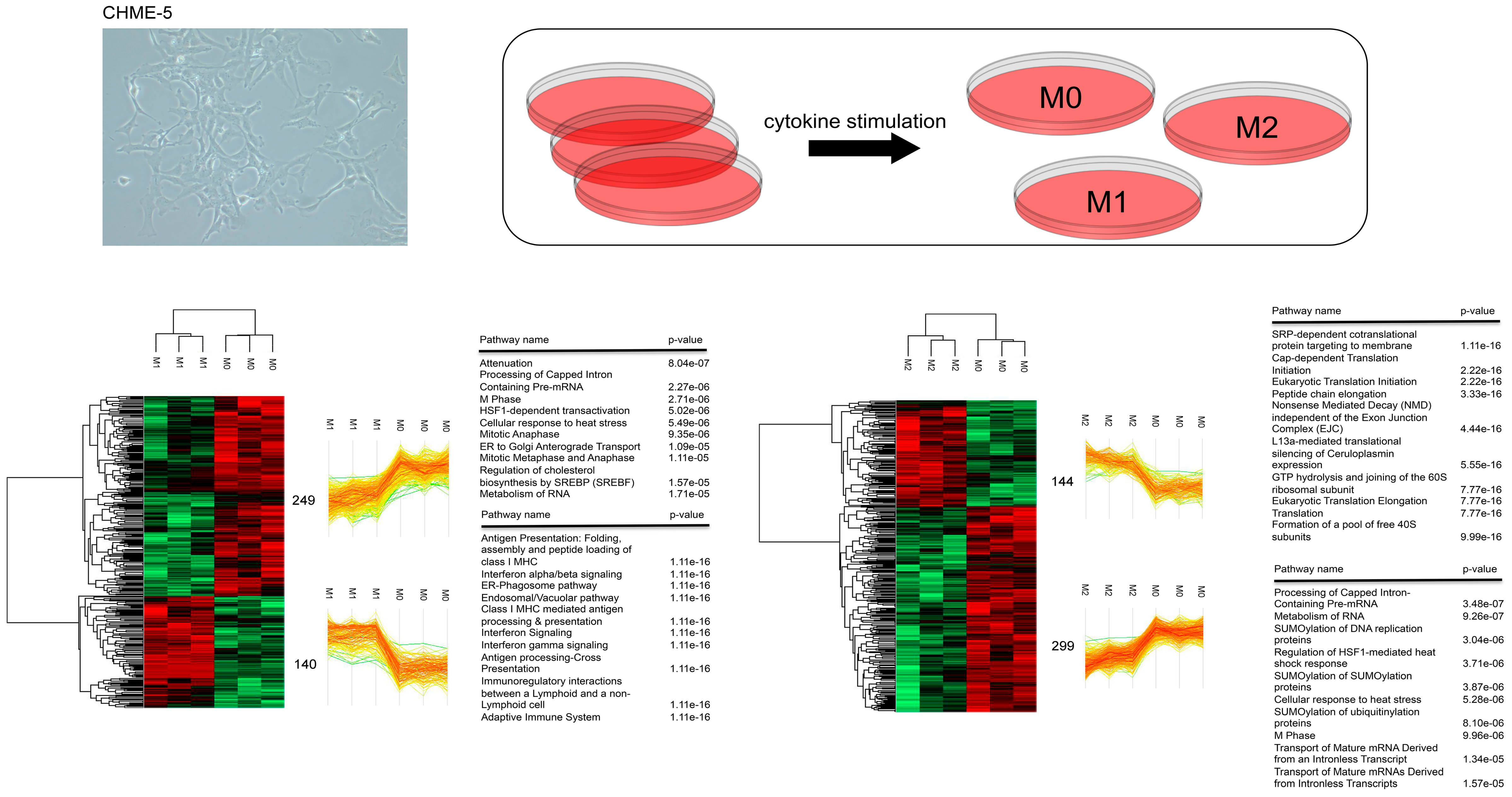 Protein Expression Technologies: Current Status and Future Trends