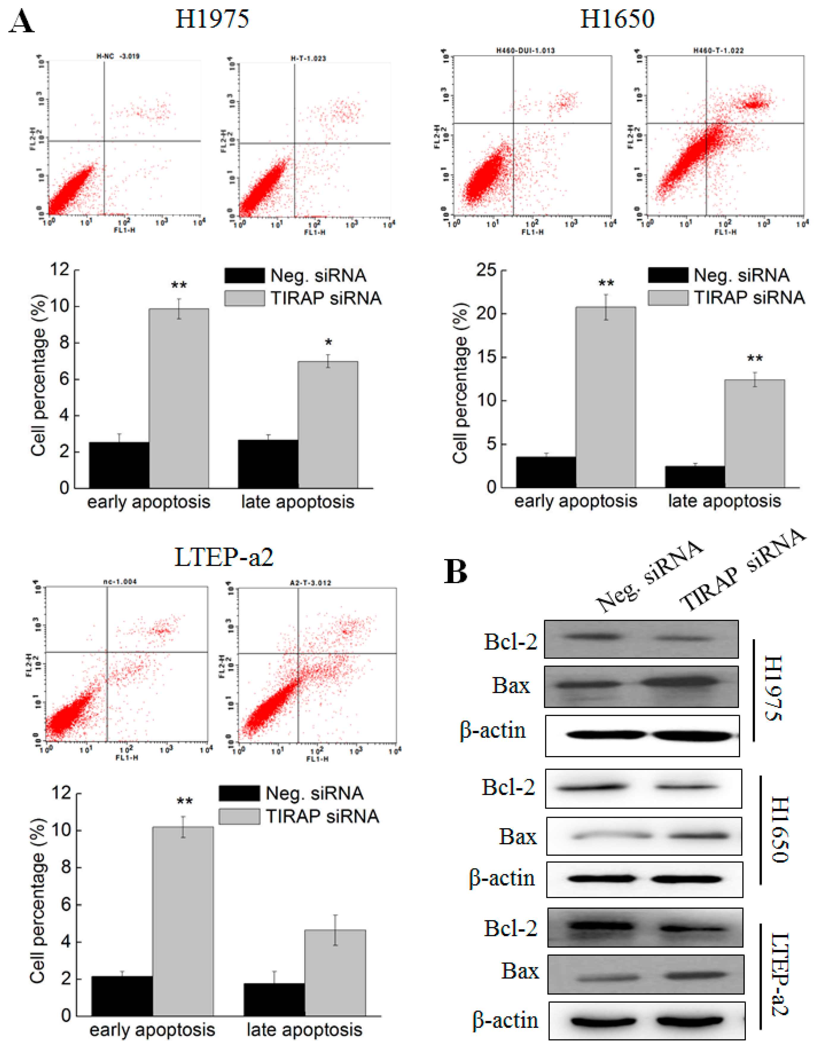 Cells 08 00588 g005 Cells 08 00588 g005