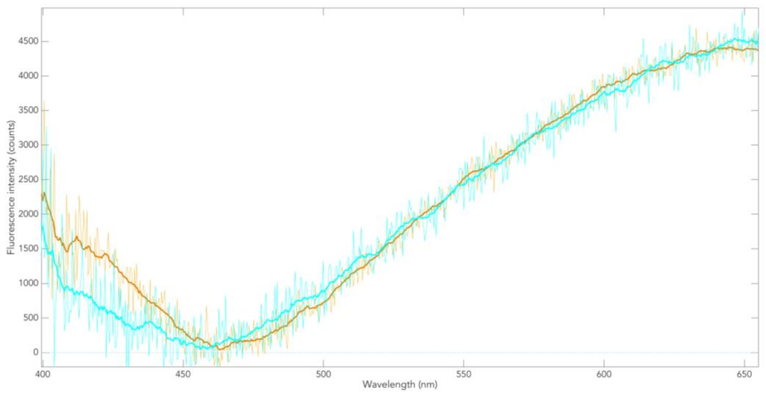 Cells 08 00592 g007 550